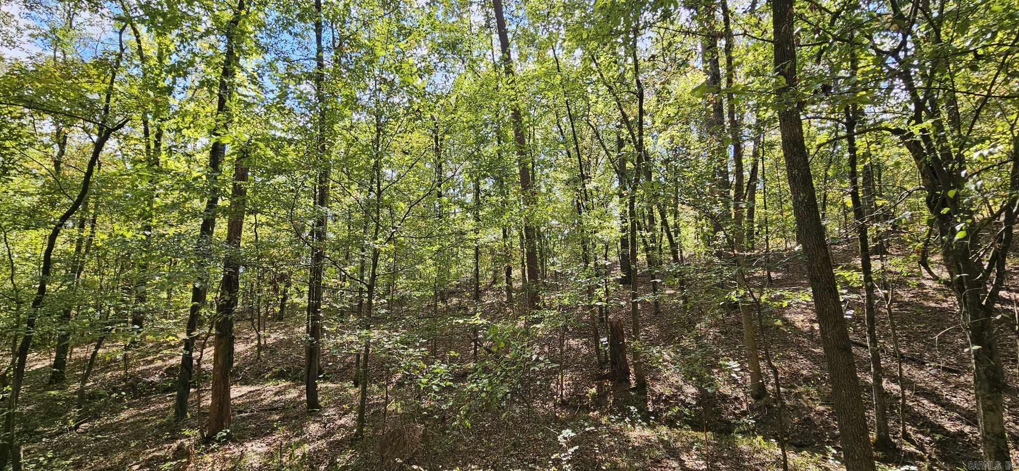 232  Derringer  Hot Springs, AR