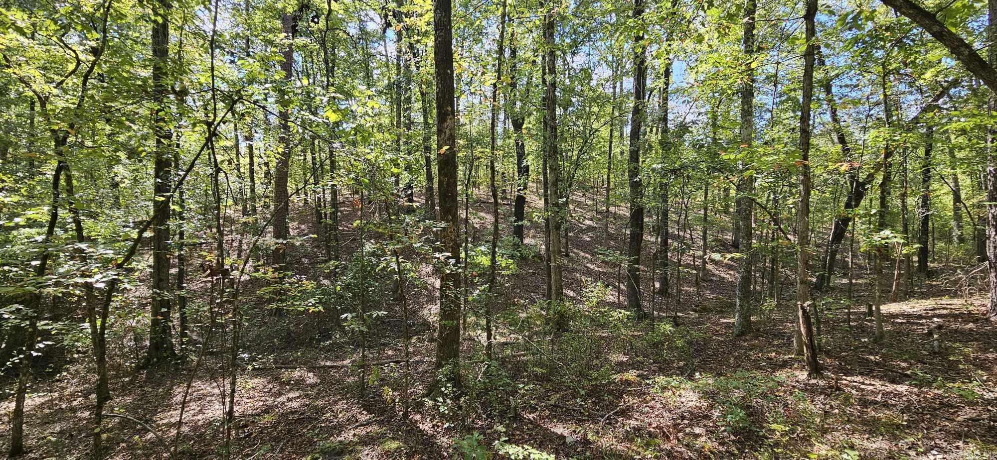 232  Derringer  Hot Springs, AR
