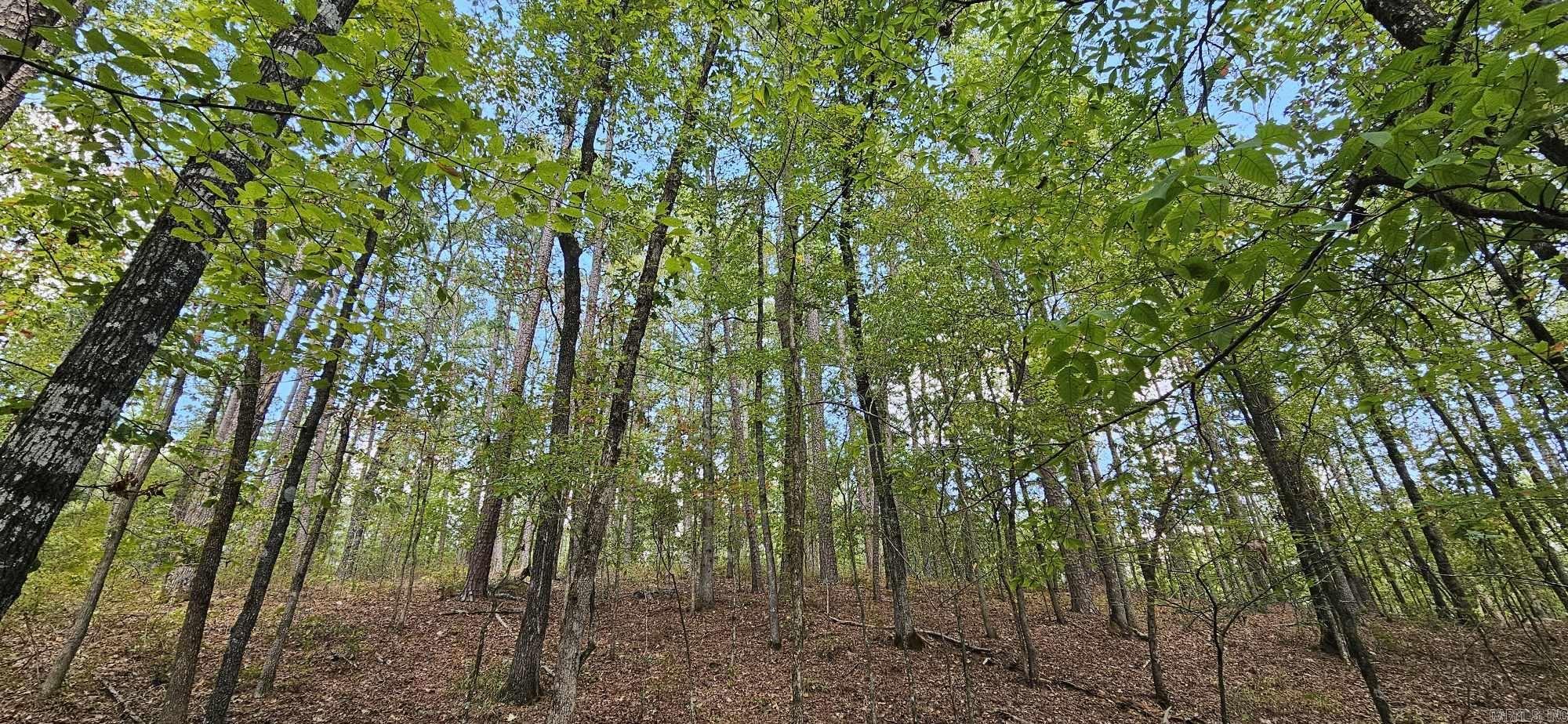 232  Derringer  Hot Springs, AR