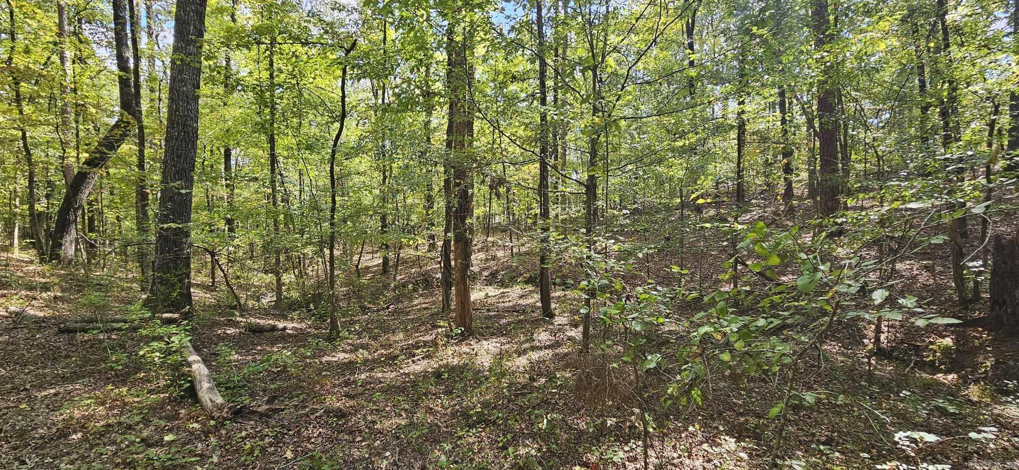 232  Derringer  Hot Springs, AR