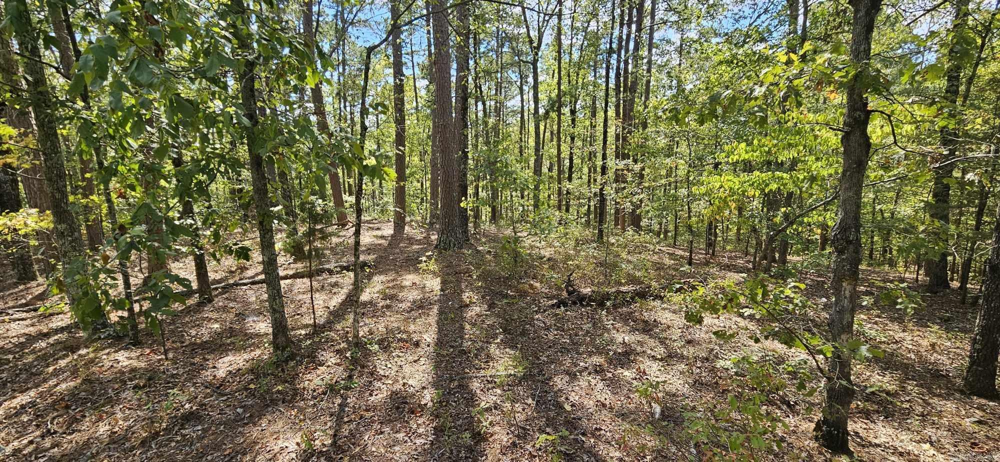 232  Derringer  Hot Springs, AR