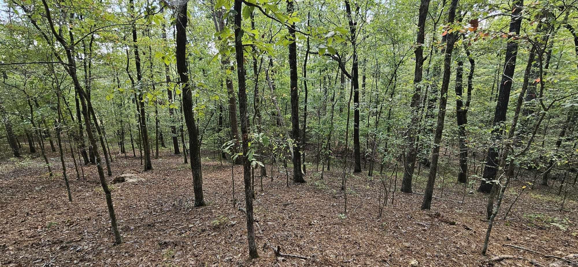 232  Derringer  Hot Springs, AR