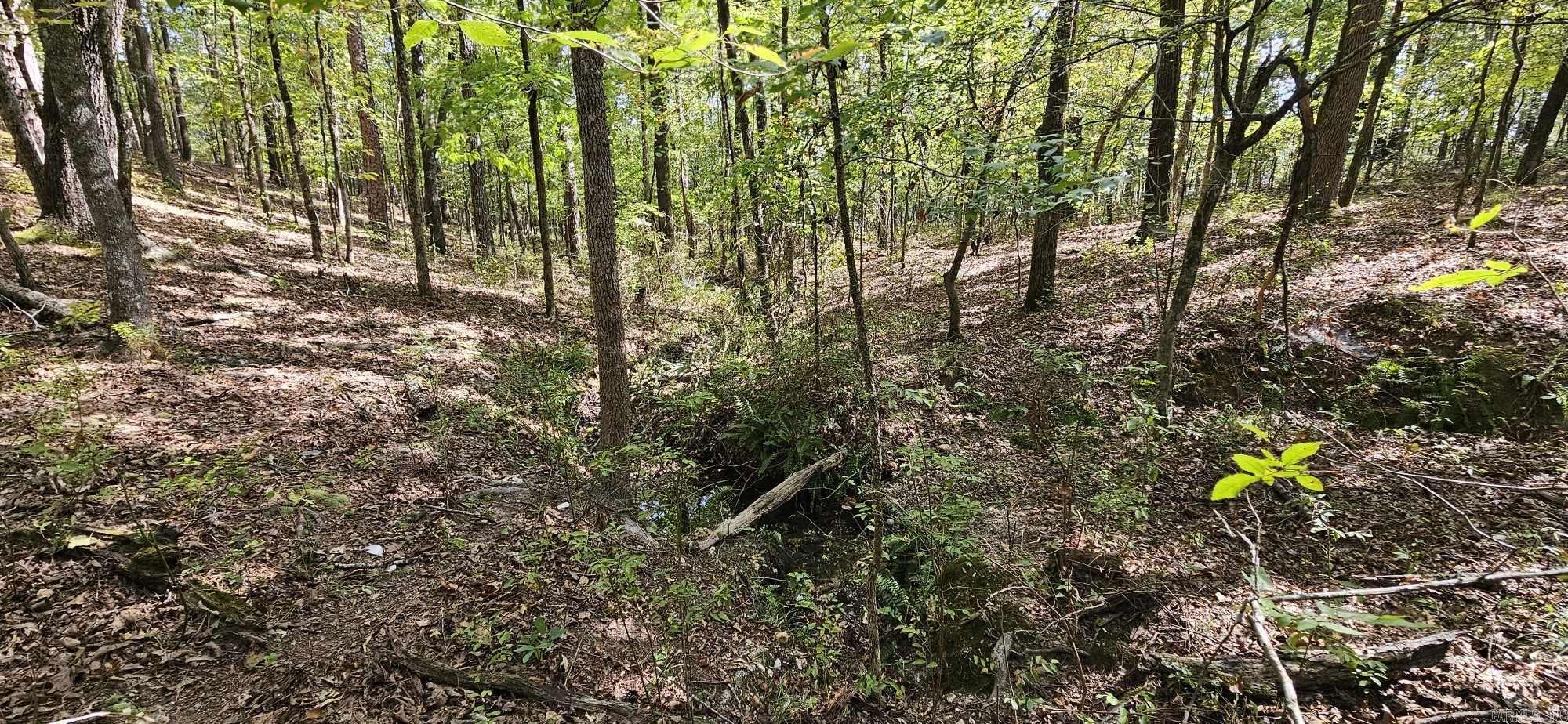 232  Derringer  Hot Springs, AR