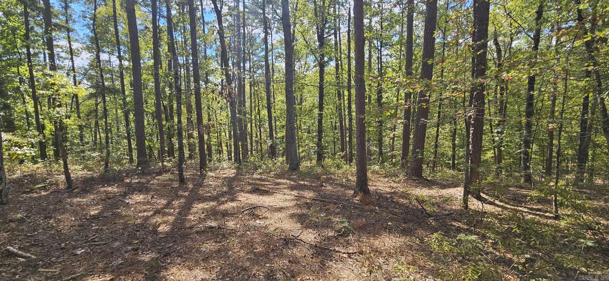 232  Derringer  Hot Springs, AR