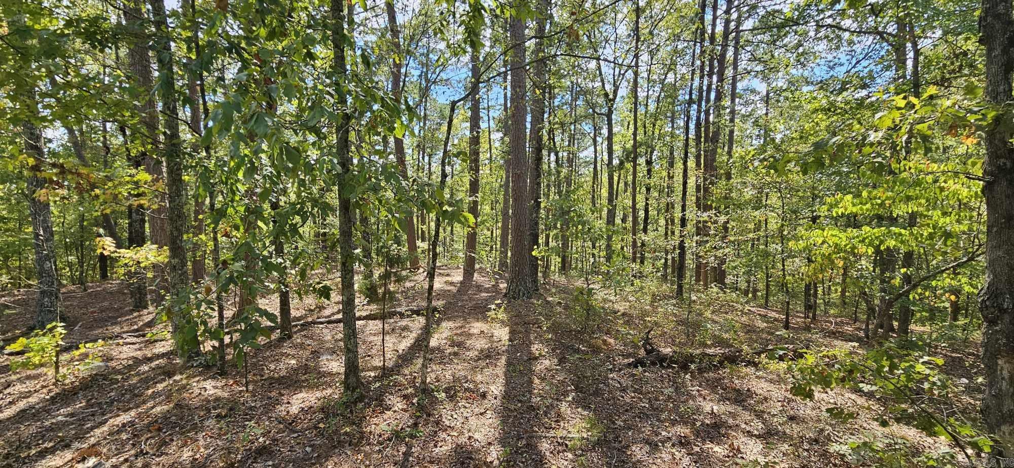 232  Derringer  Hot Springs, AR