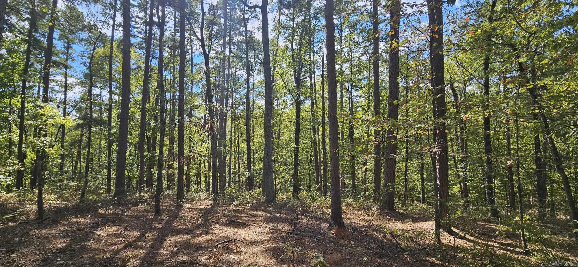 232  Derringer  Hot Springs, AR