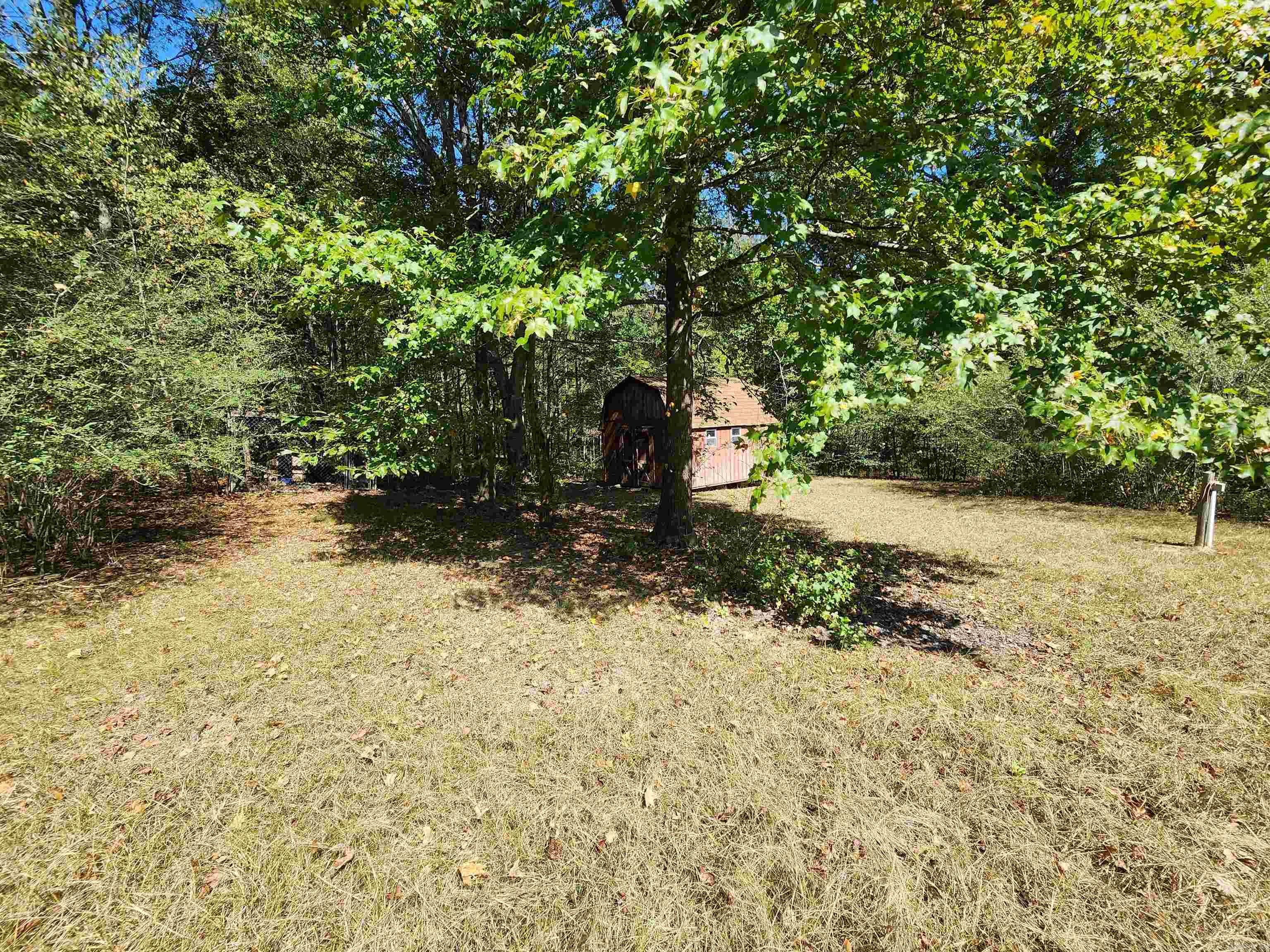 12416  Heinke  Little Rock, AR