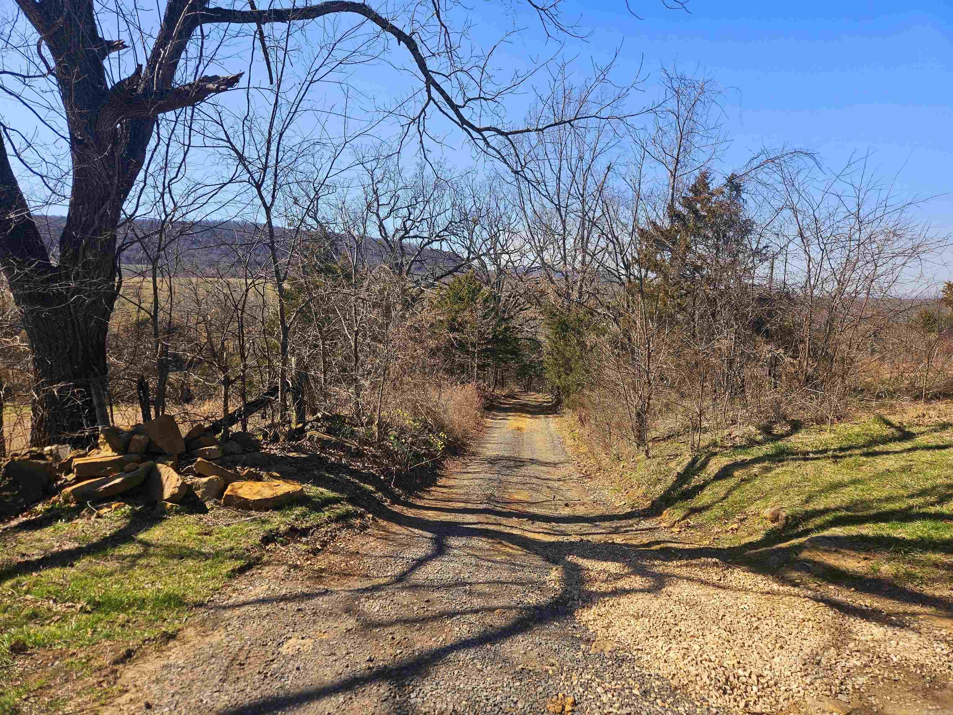 1826 Marsena Road Marshall, AR 72650