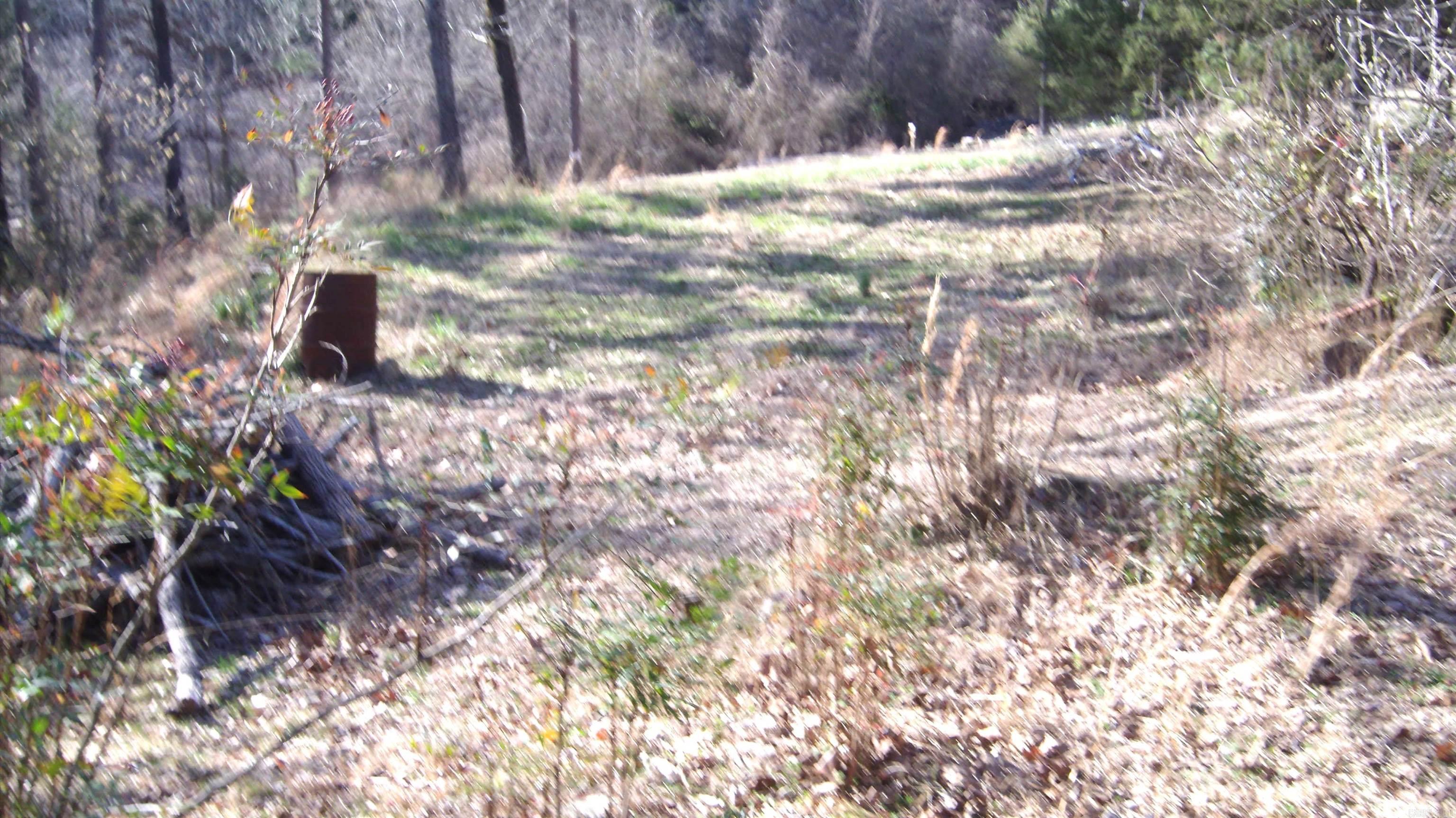 105  Garner Lane  Tumbling Shoals, AR