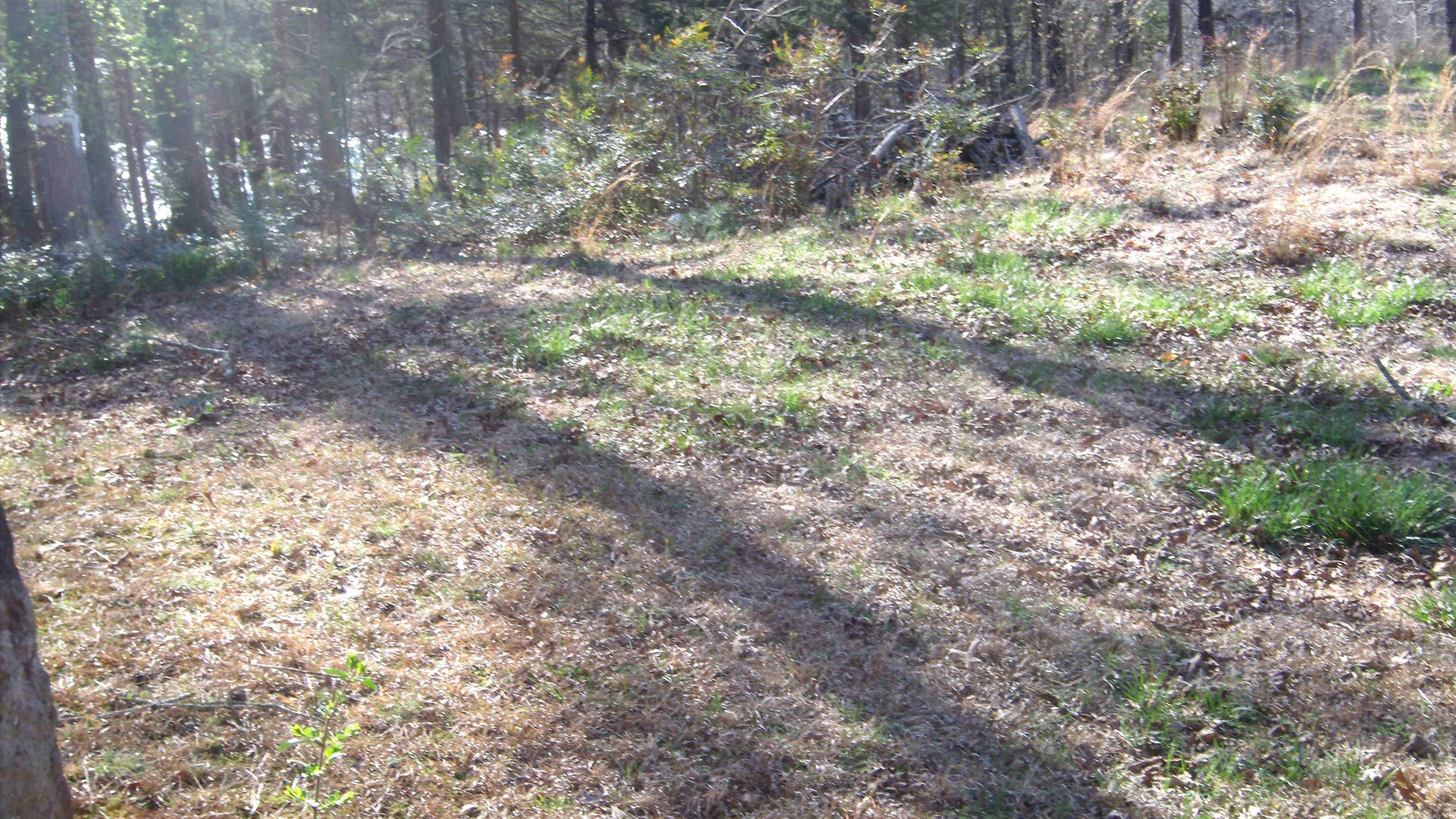 105  Garner Lane  Tumbling Shoals, AR