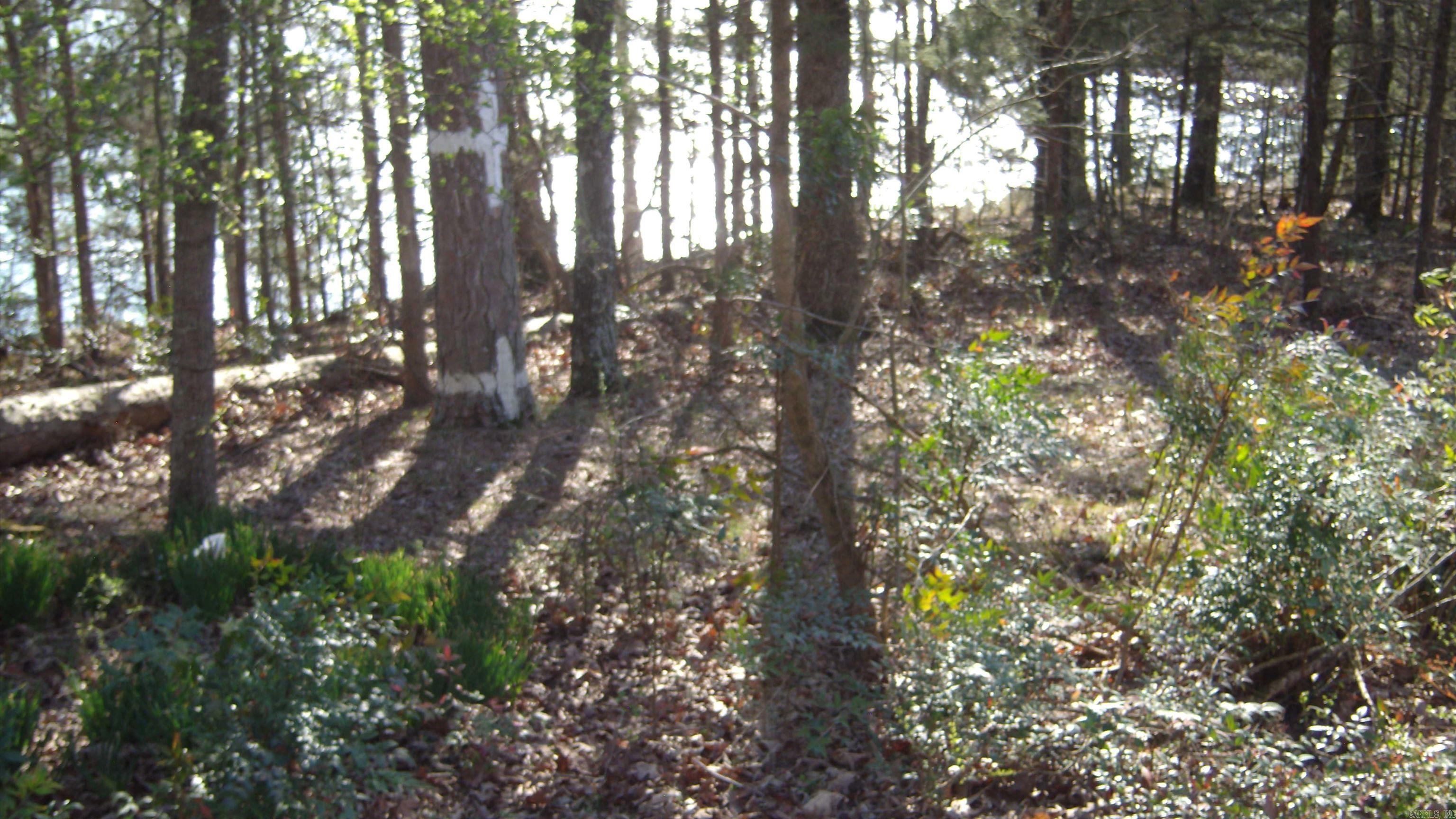 105  Garner Lane  Tumbling Shoals, AR