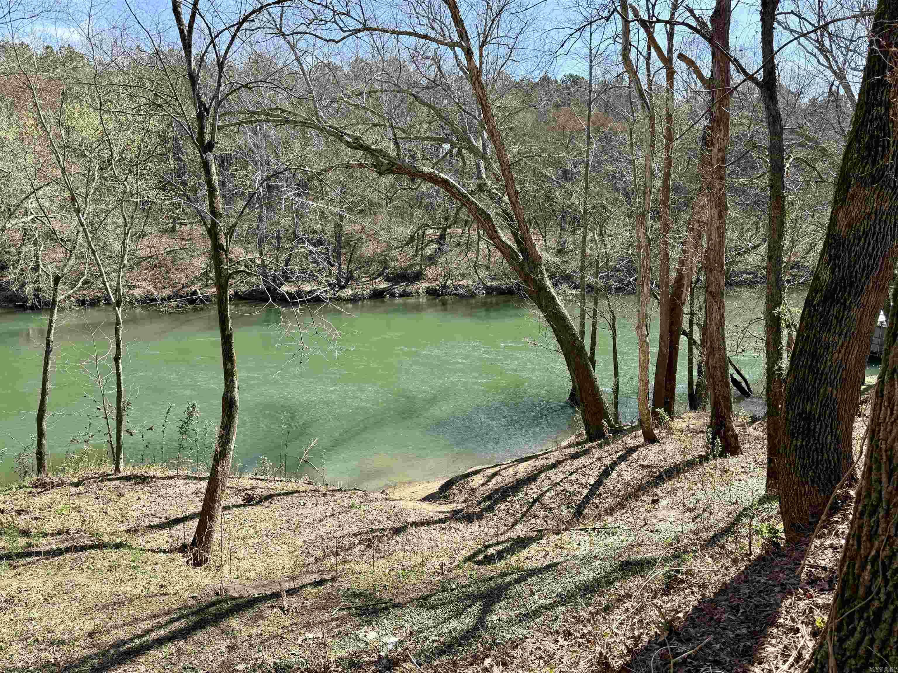 7 Iveon Clay Road Pangburn, AR 72121