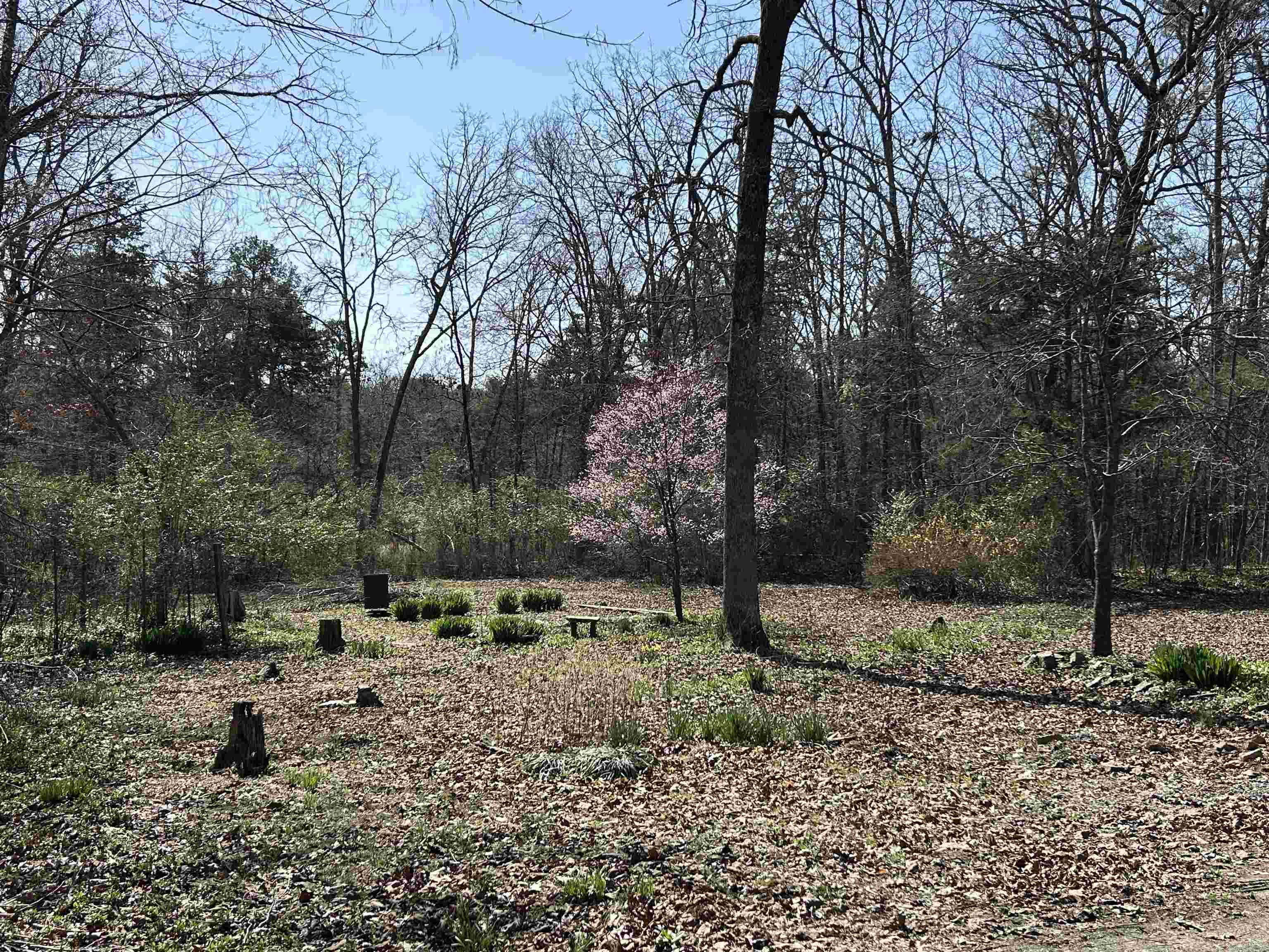 207  Marpen  Clinton, AR