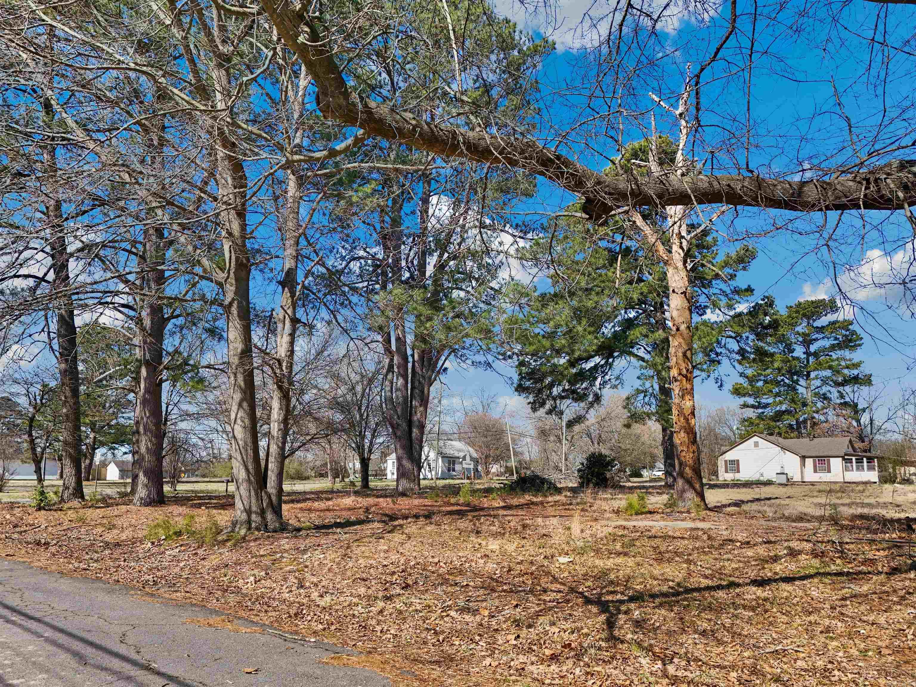 307 & 309  Washington  Ward, AR