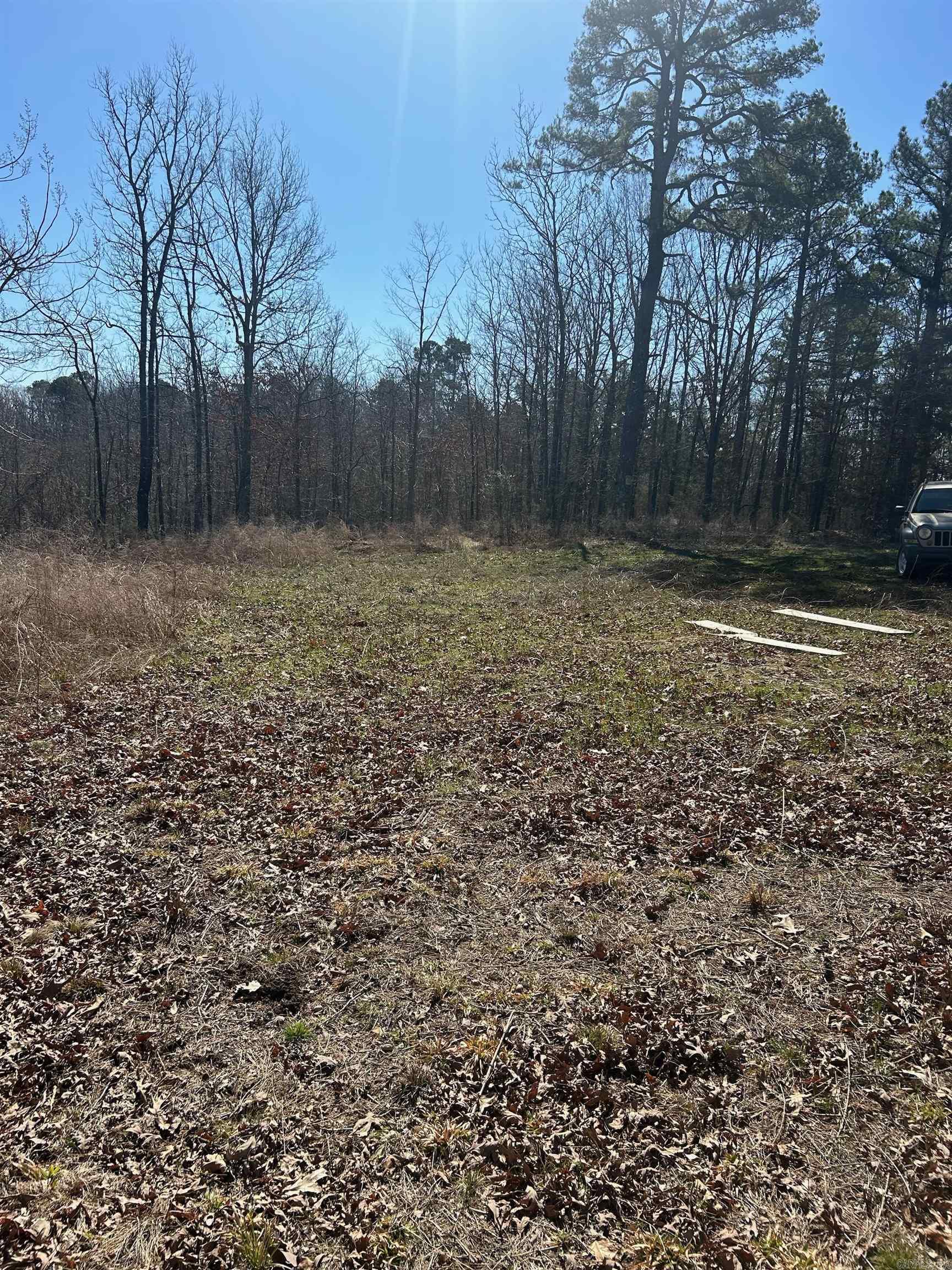   Union Hill Rd  Pleasant Plains, AR