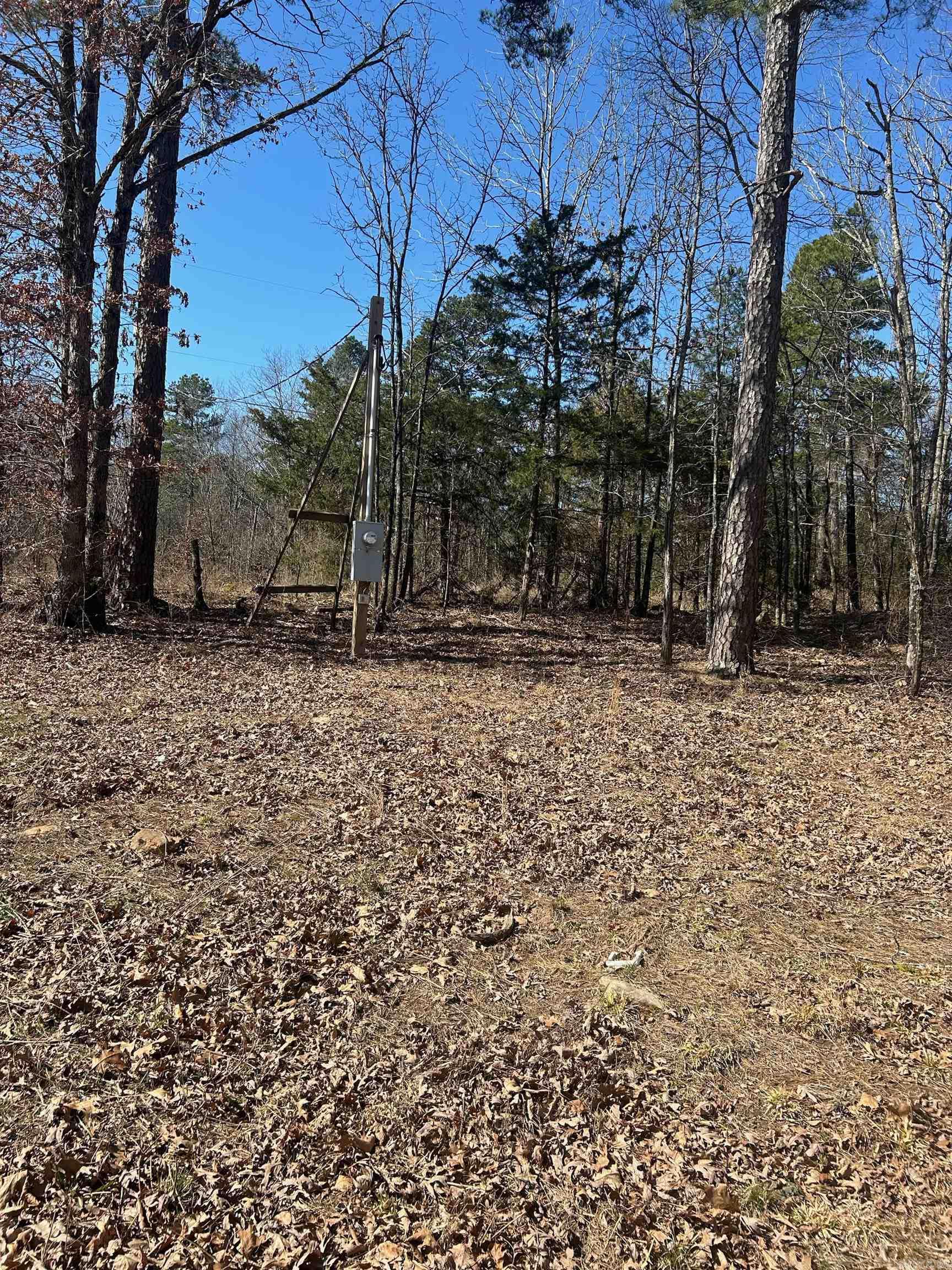   Union Hill Rd  Pleasant Plains, AR