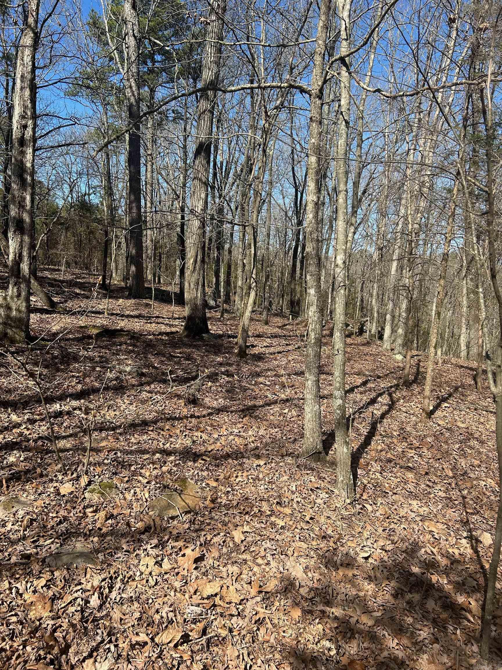   Union Hill Rd  Pleasant Plains, AR
