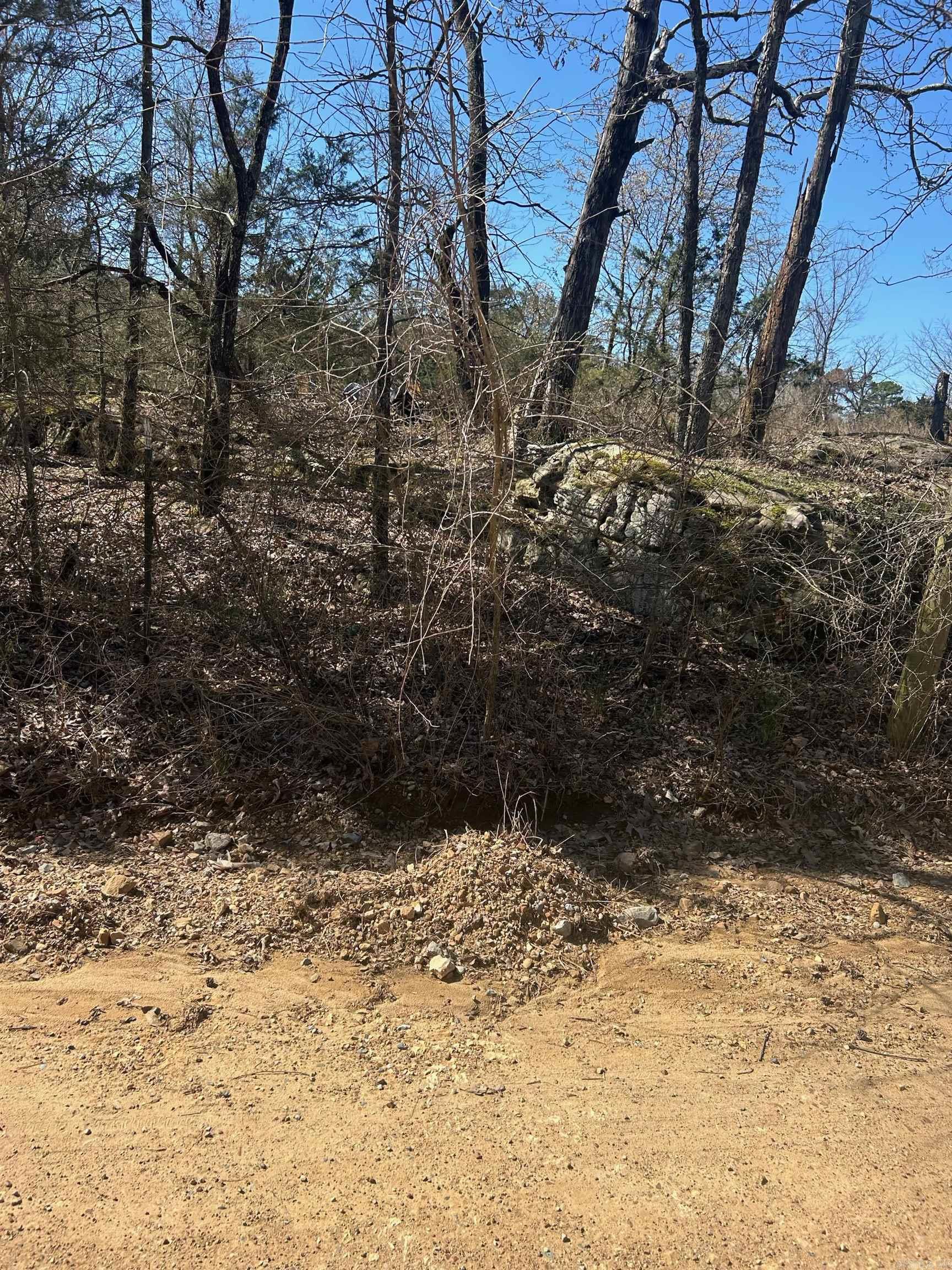   Union Hill Rd  Pleasant Plains, AR