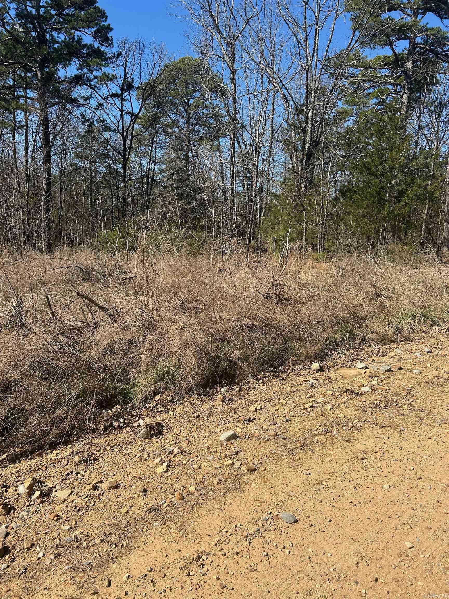   Union Hill Rd  Pleasant Plains, AR