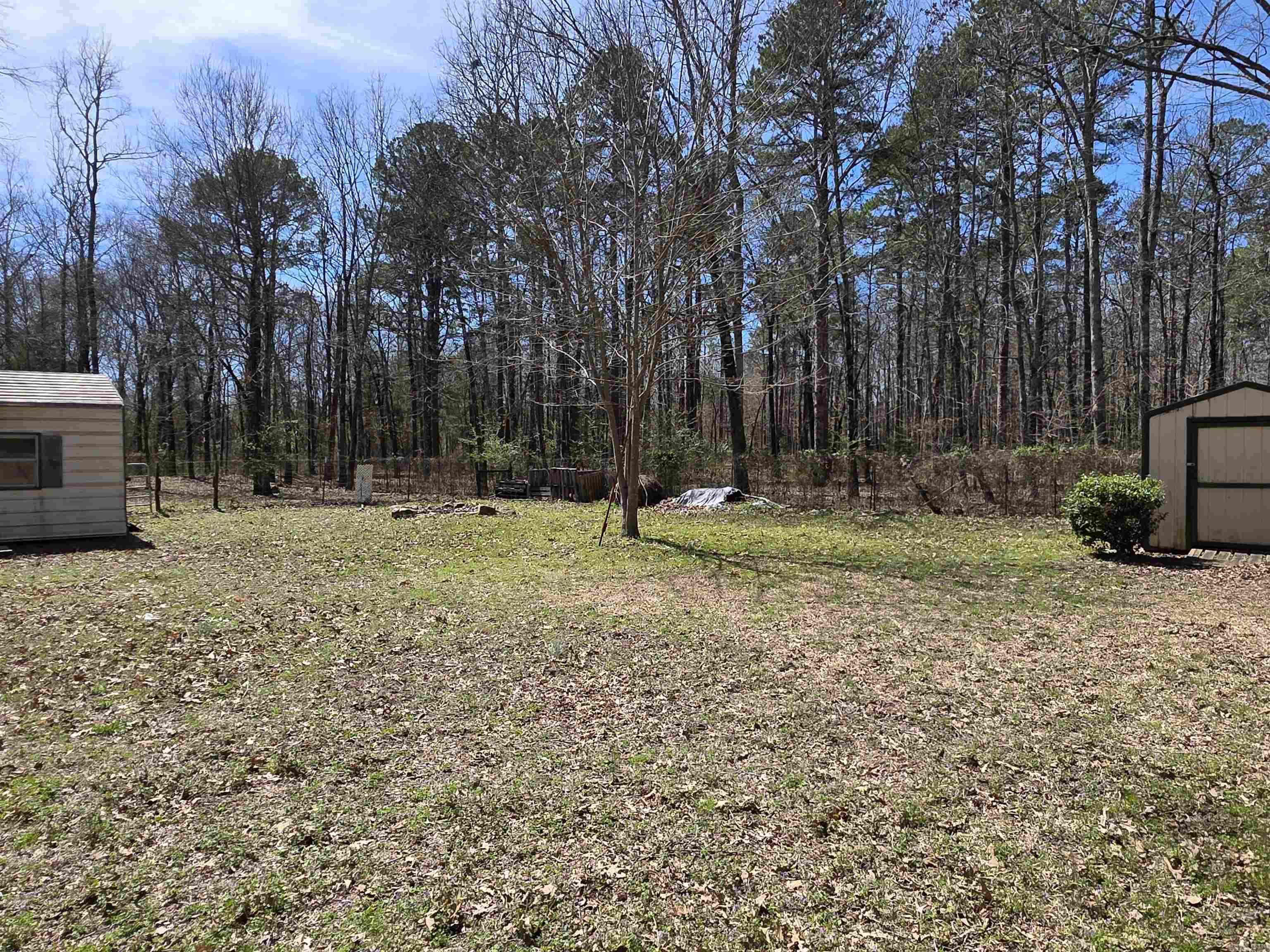 123  Folsom  Mena, AR