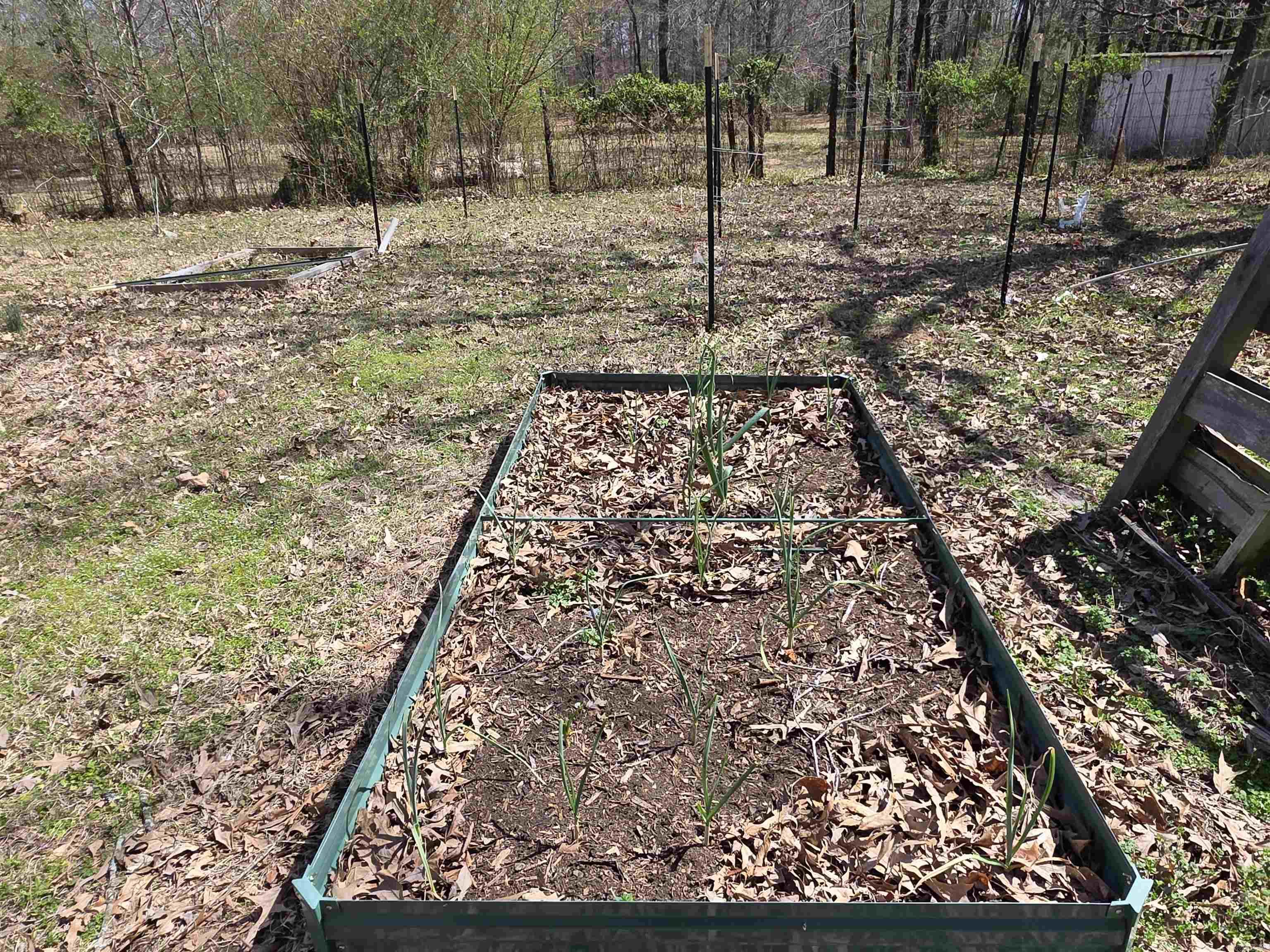 123  Folsom  Mena, AR