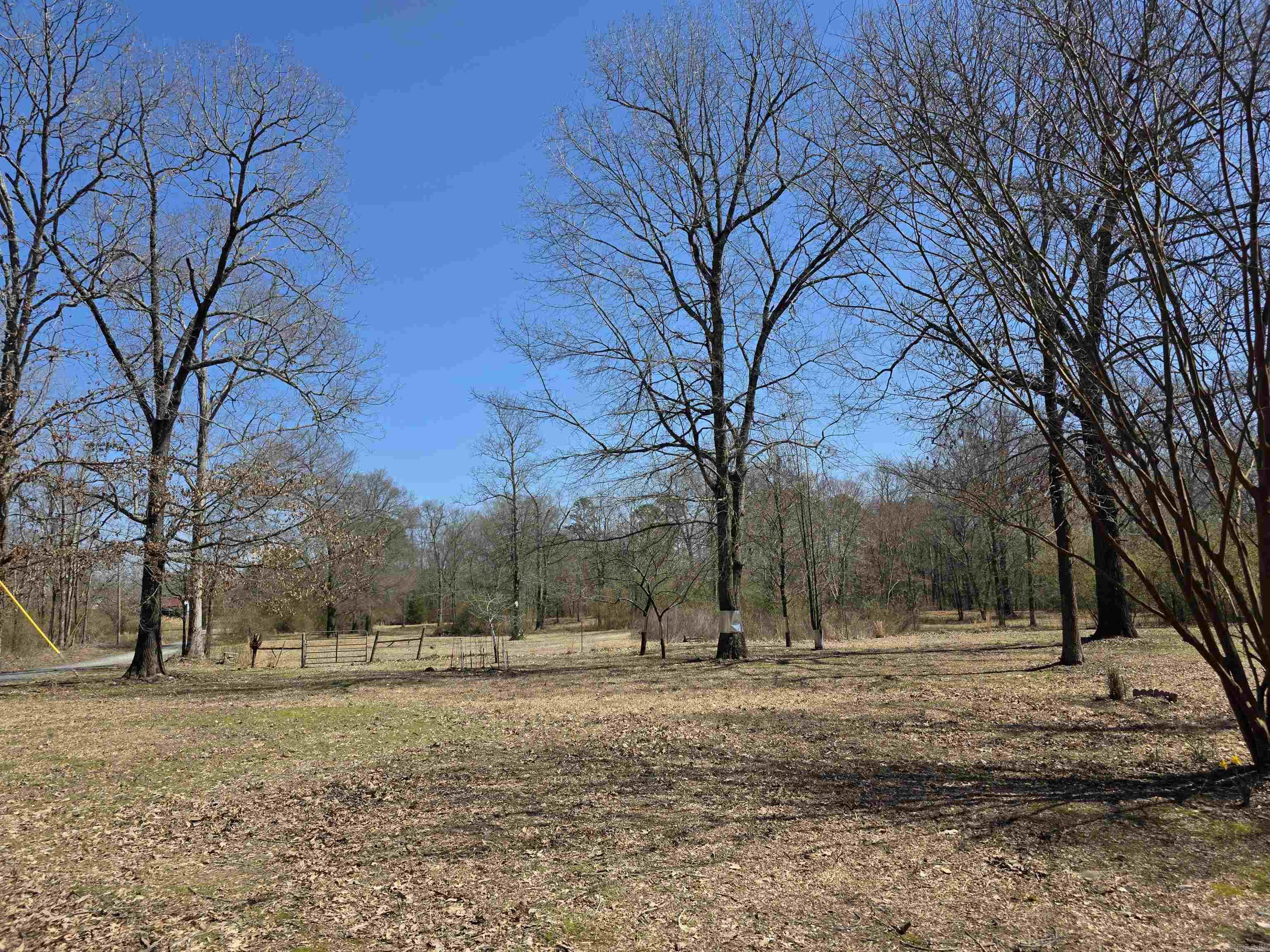 123  Folsom  Mena, AR