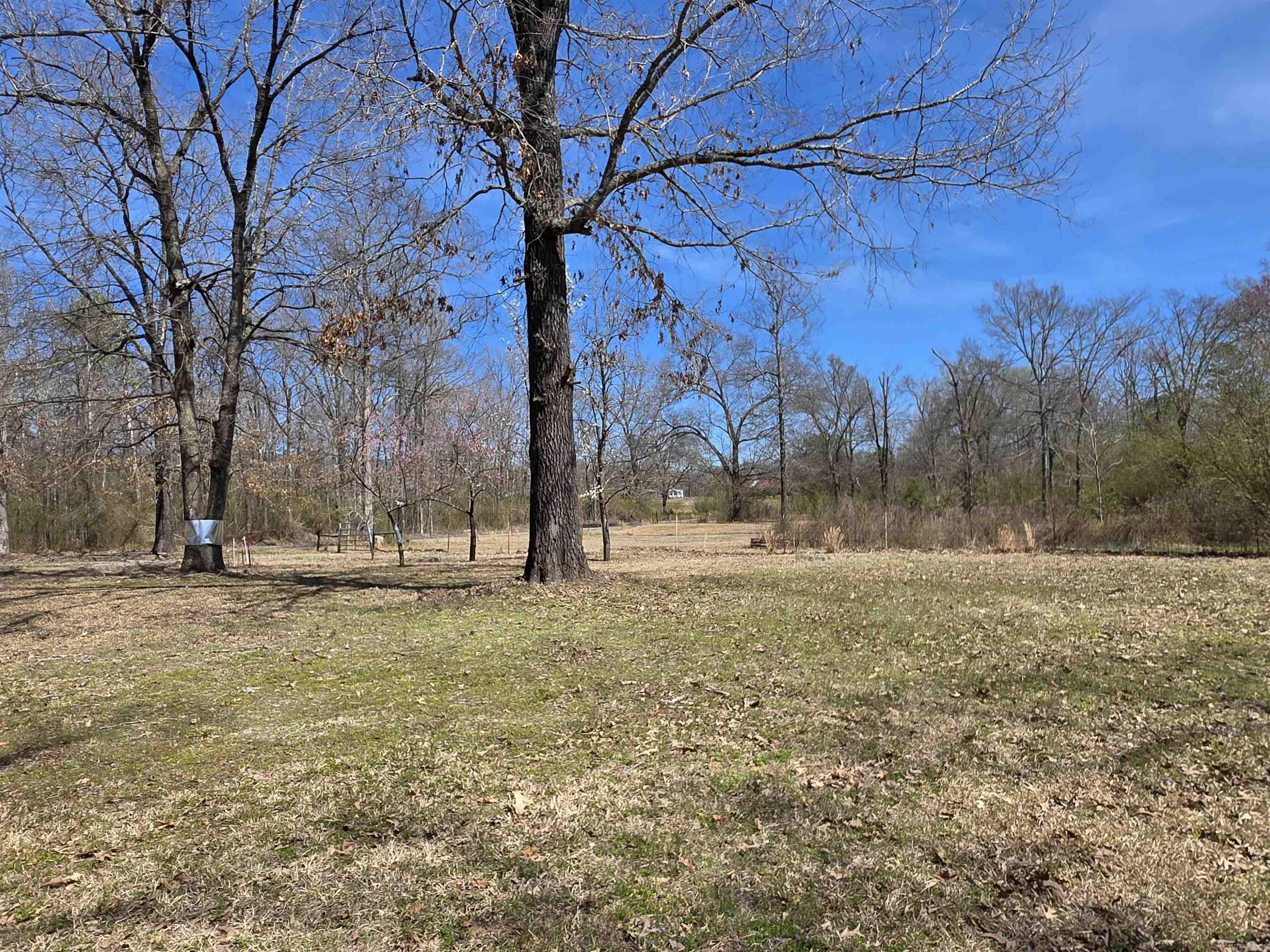 123  Folsom  Mena, AR