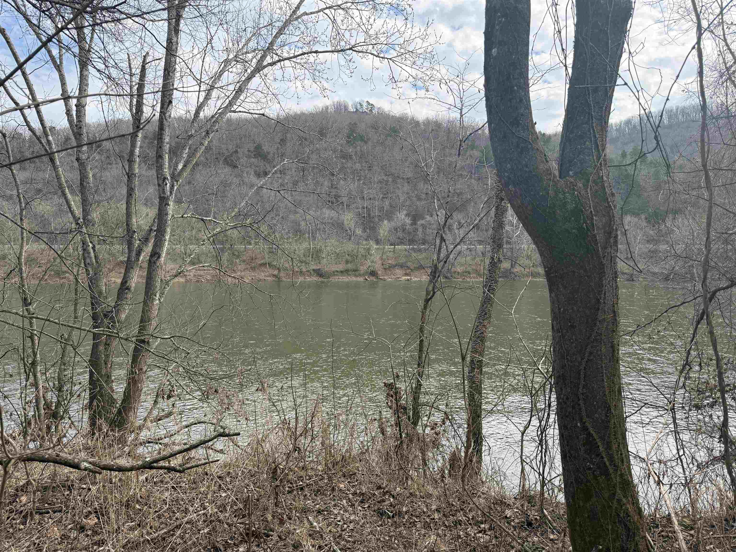 13  Allure Lane  Mountain View, AR