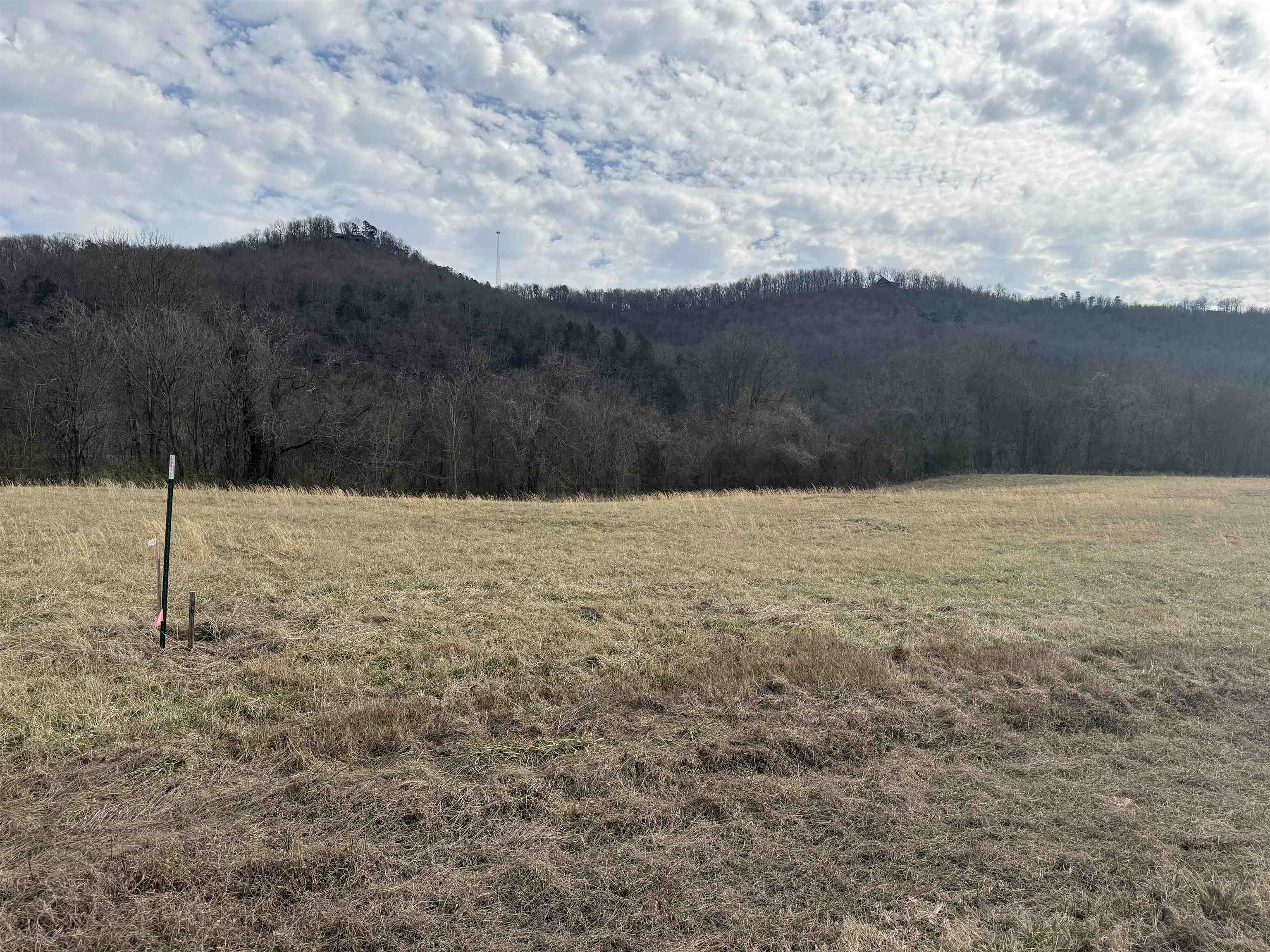 13  Allure Lane  Mountain View, AR