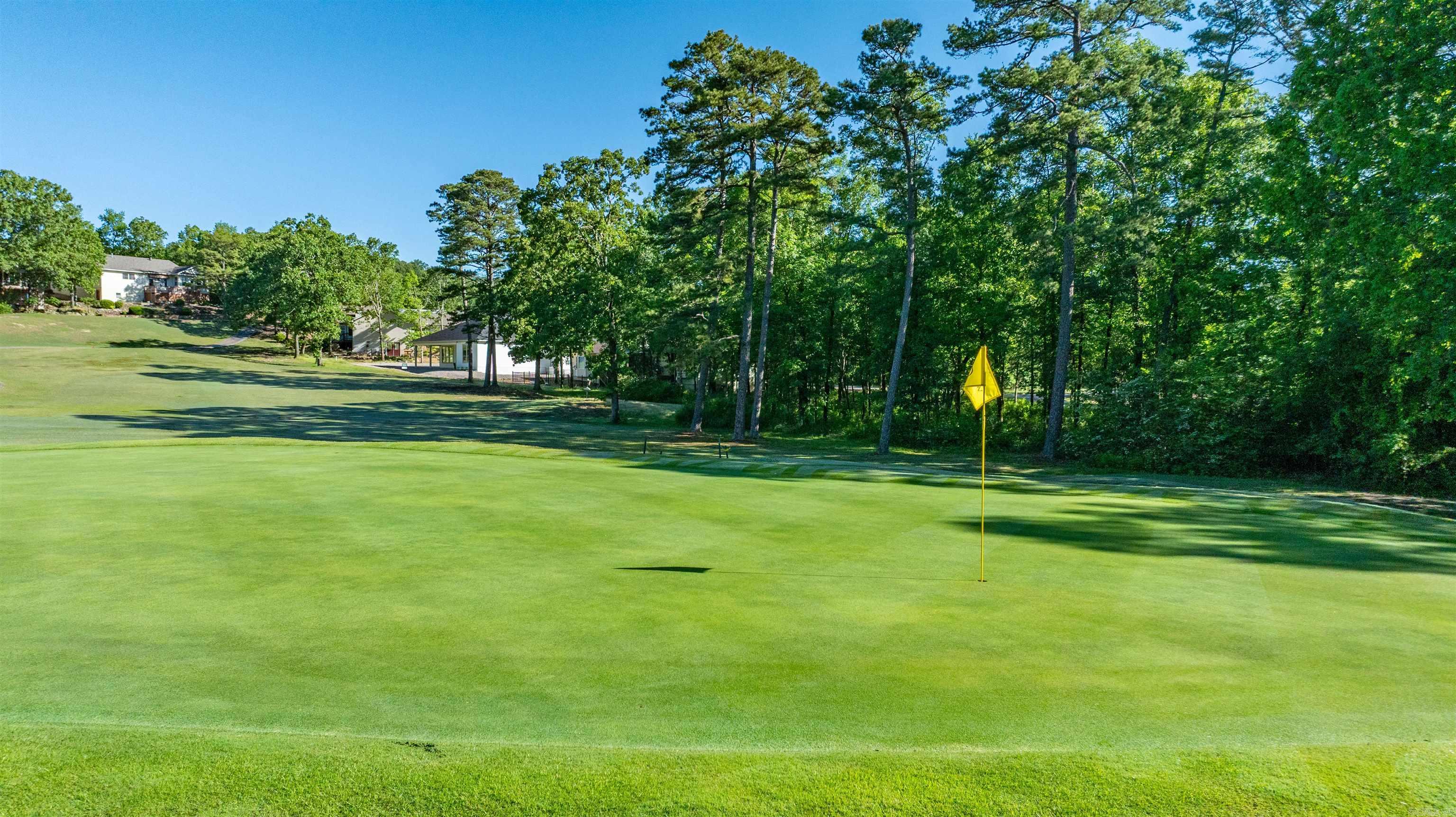 24  Zarina  Hot Springs Village, AR
