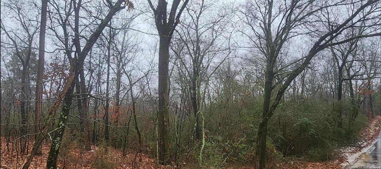 00  Wakefield  Hot Springs, AR