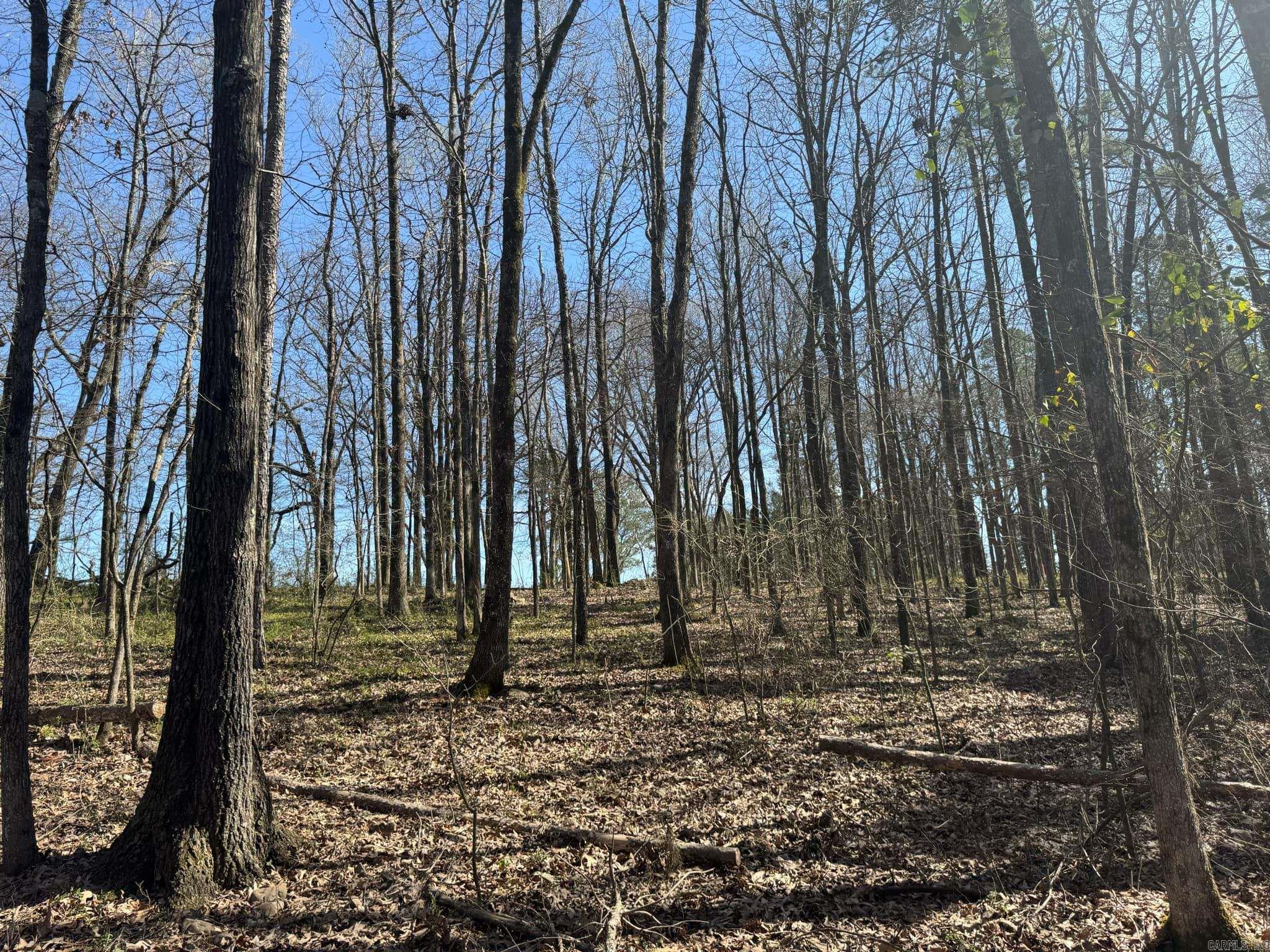 209  Finks  Mena, AR