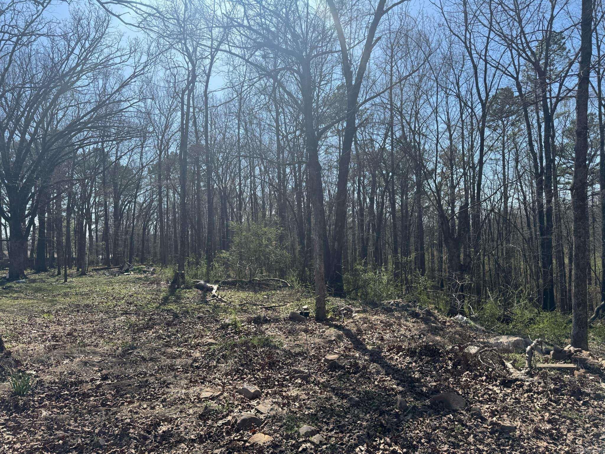 209  Finks  Mena, AR