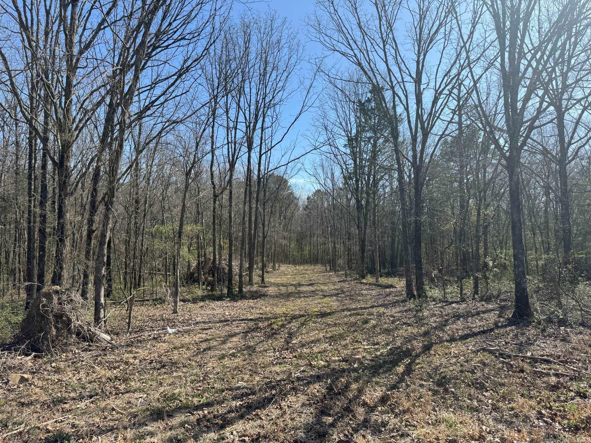 209  Finks  Mena, AR