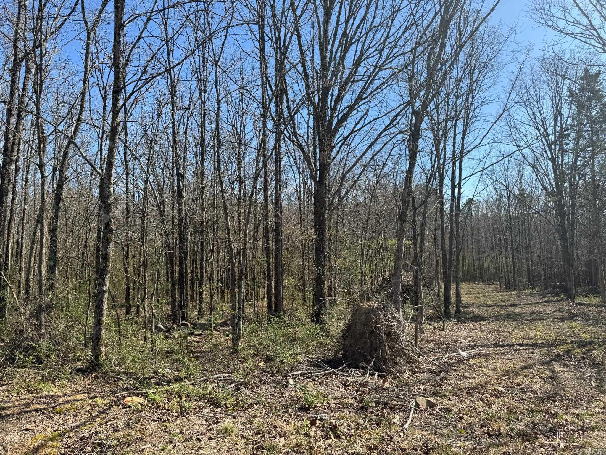 209  Finks  Mena, AR