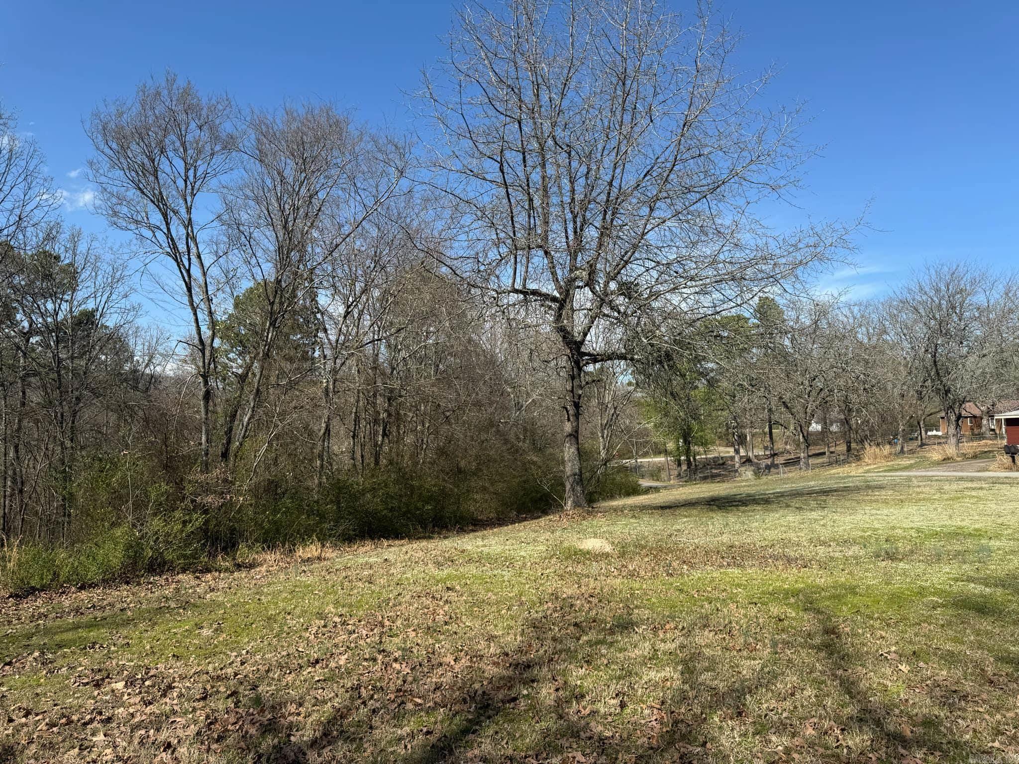 209  Finks  Mena, AR