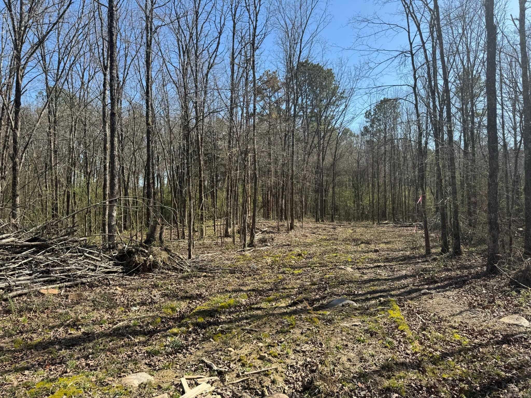209  Finks  Mena, AR