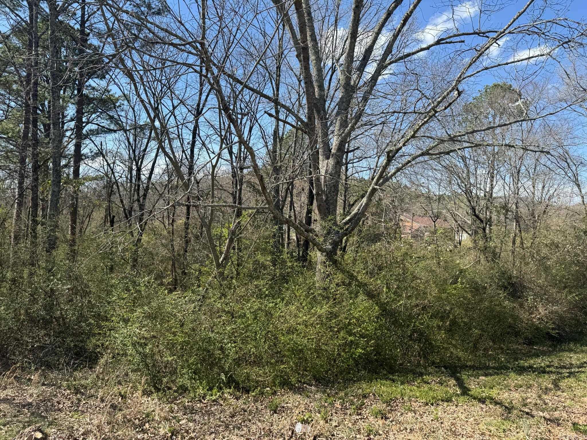 209  Finks  Mena, AR