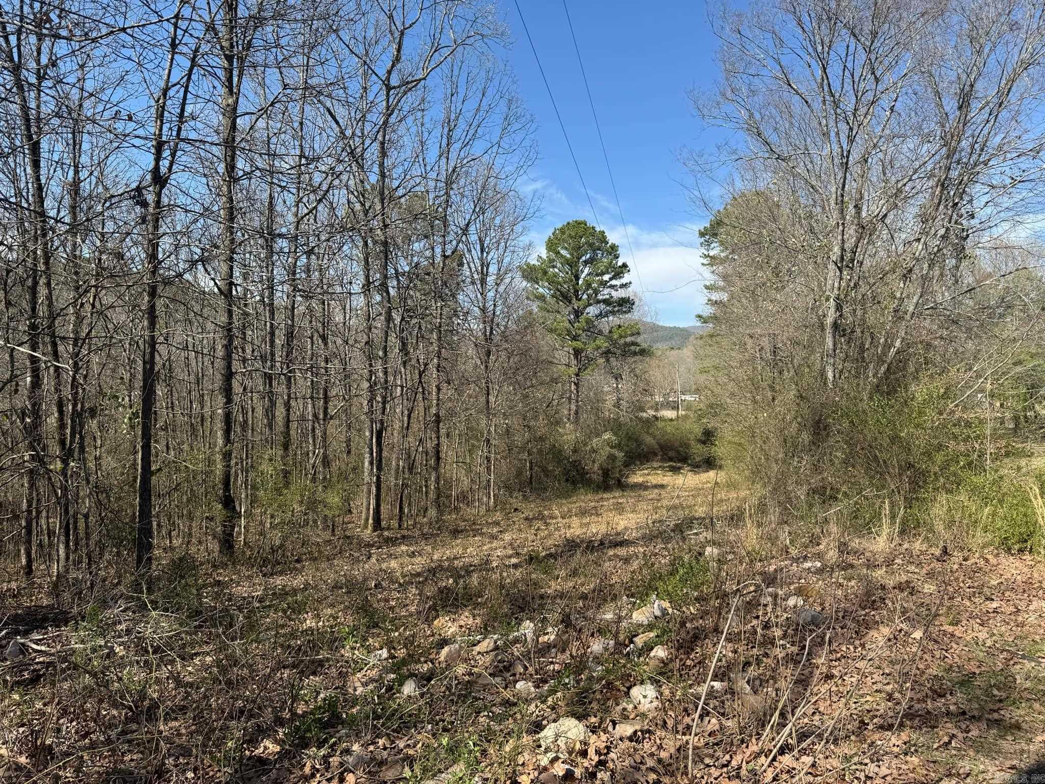 209  Finks  Mena, AR