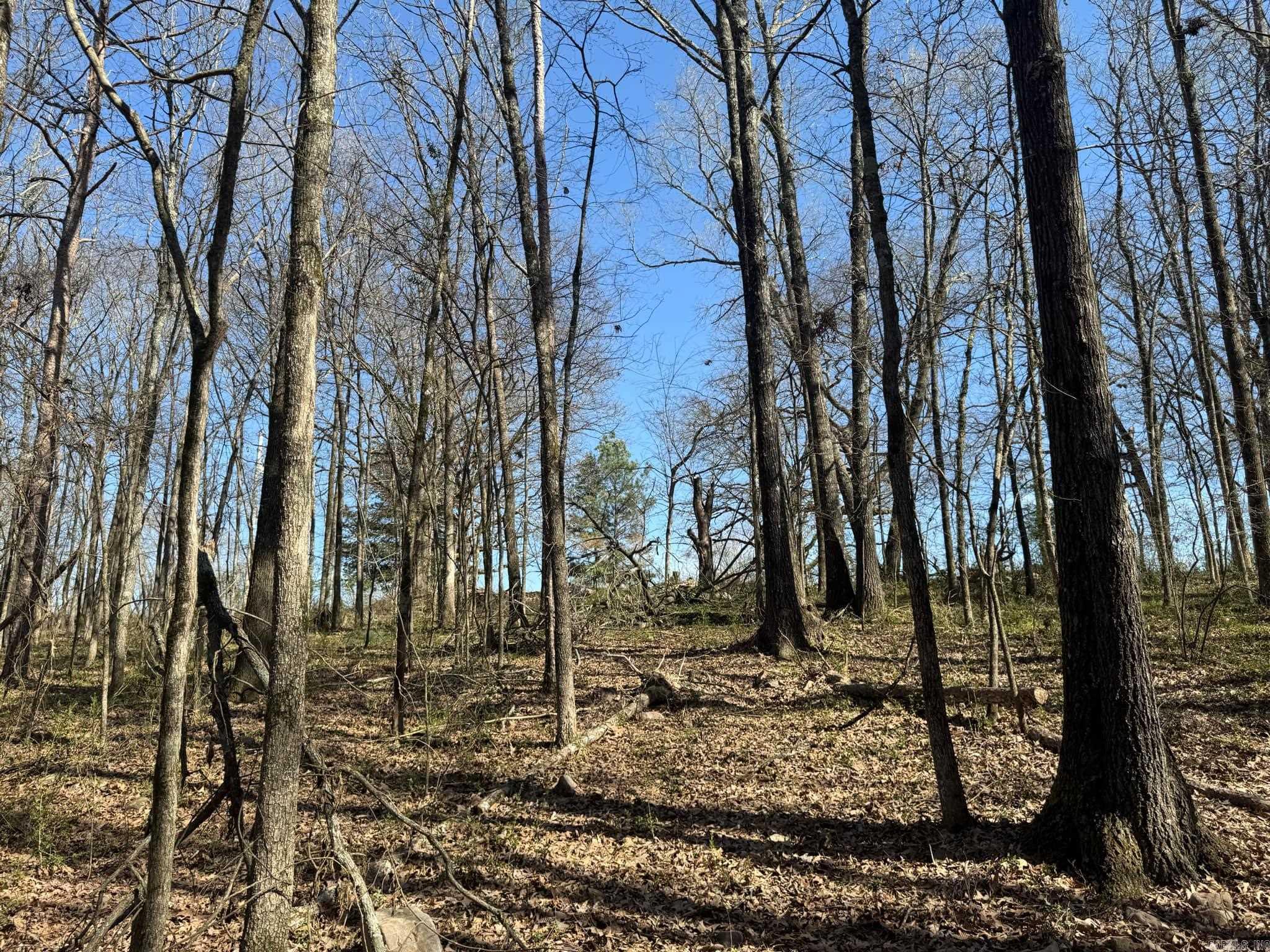 209  Finks  Mena, AR