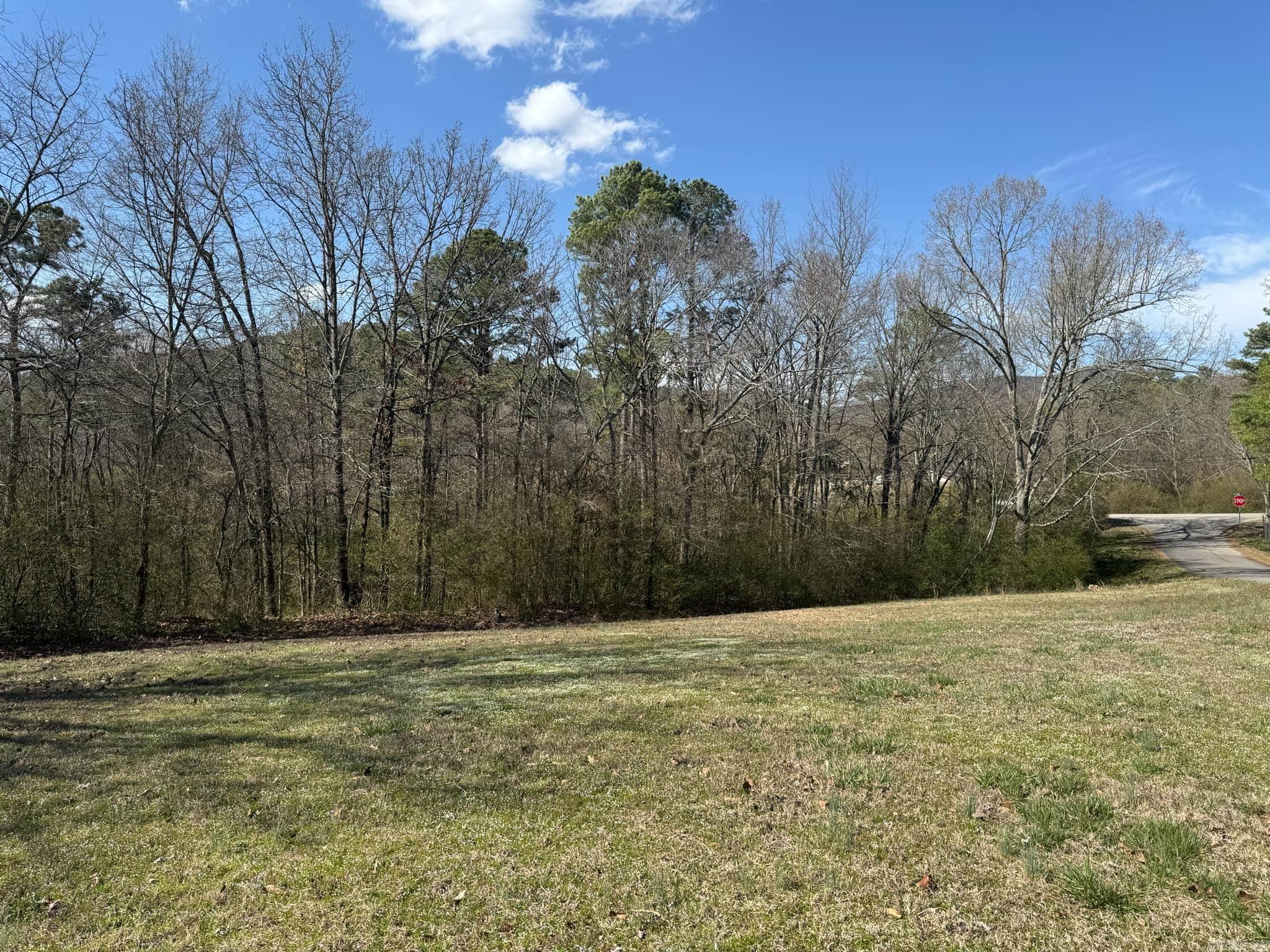209  Finks  Mena, AR