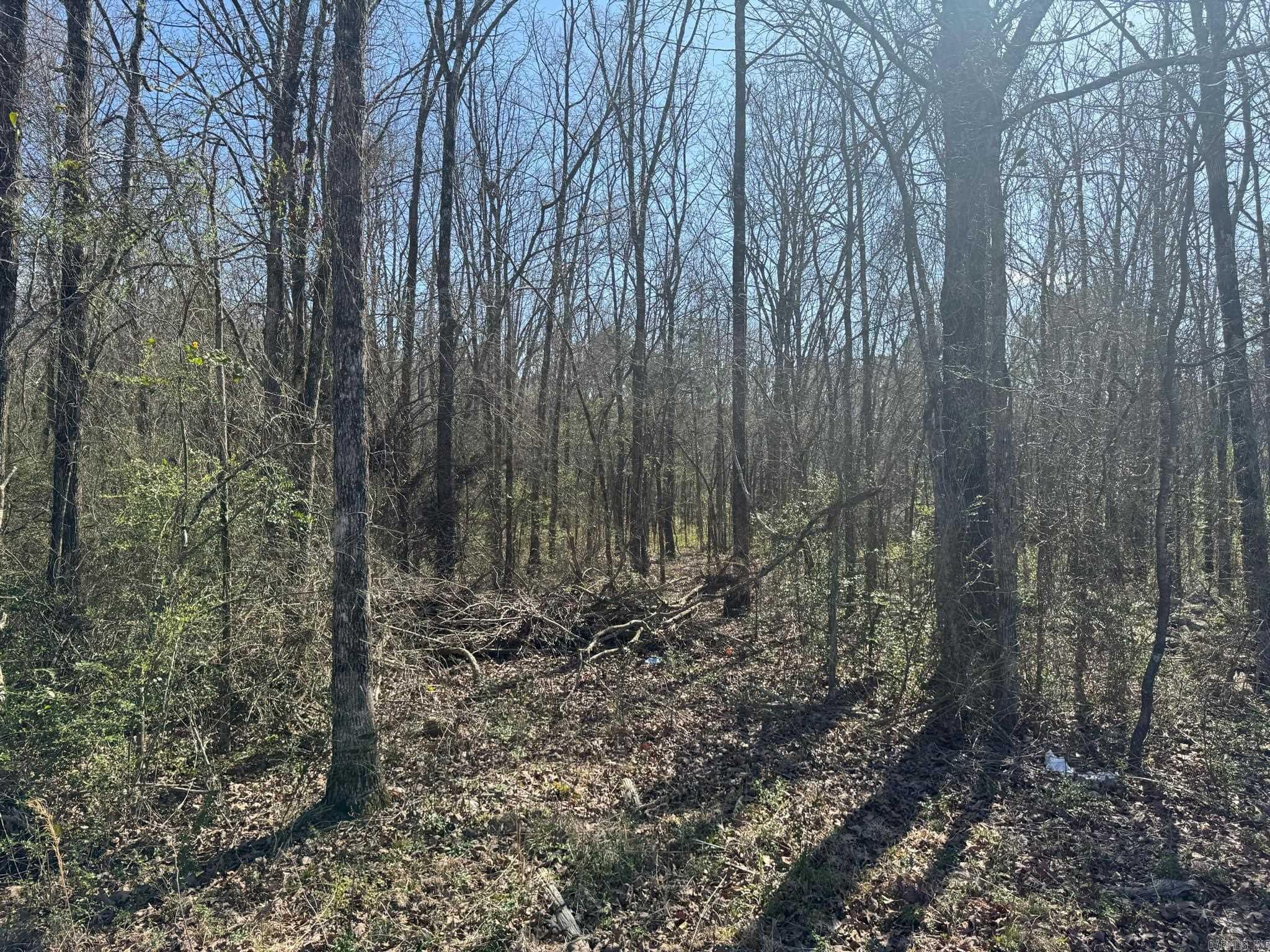209  Finks  Mena, AR
