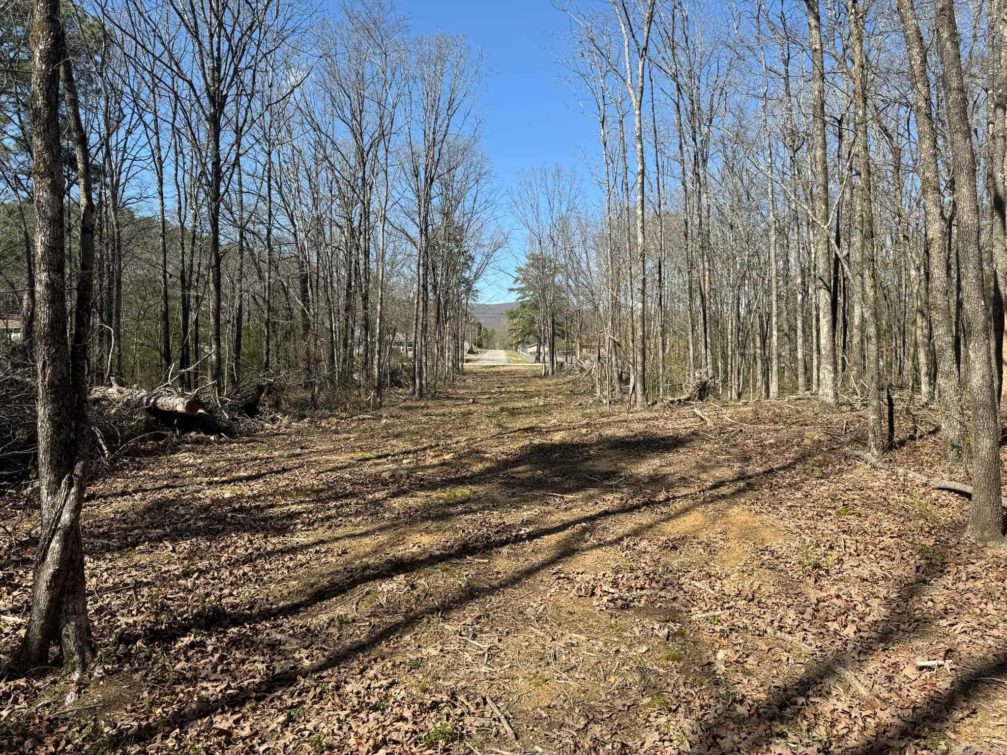 209  Finks  Mena, AR