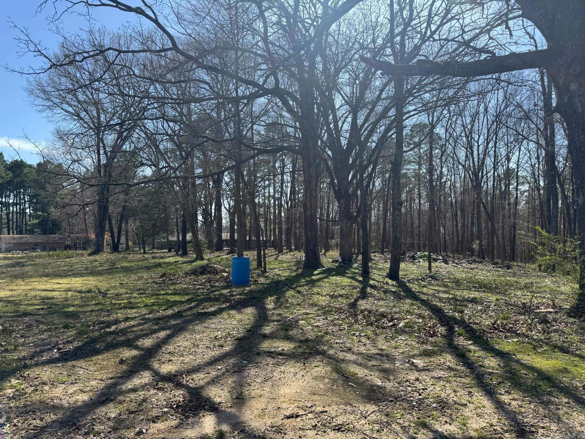 209  Finks  Mena, AR