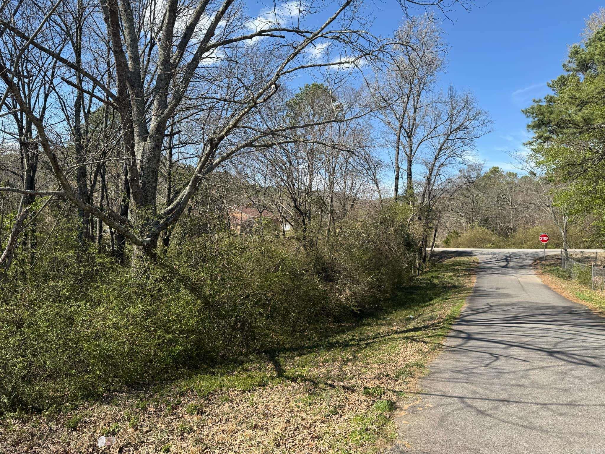 209  Finks  Mena, AR