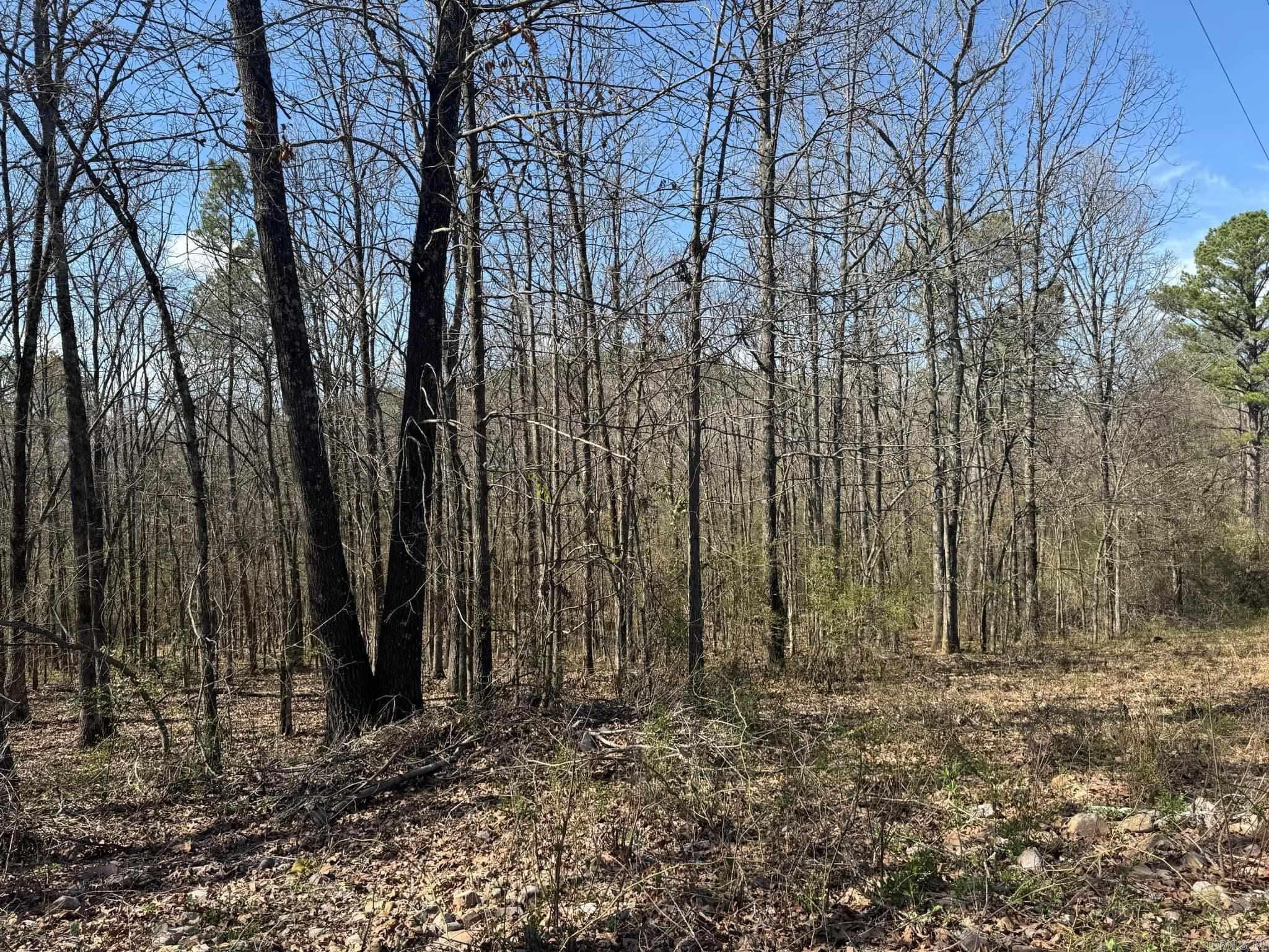 209  Finks  Mena, AR