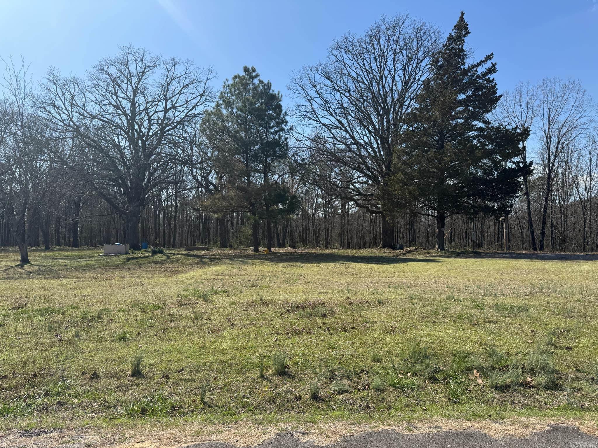 209  Finks  Mena, AR