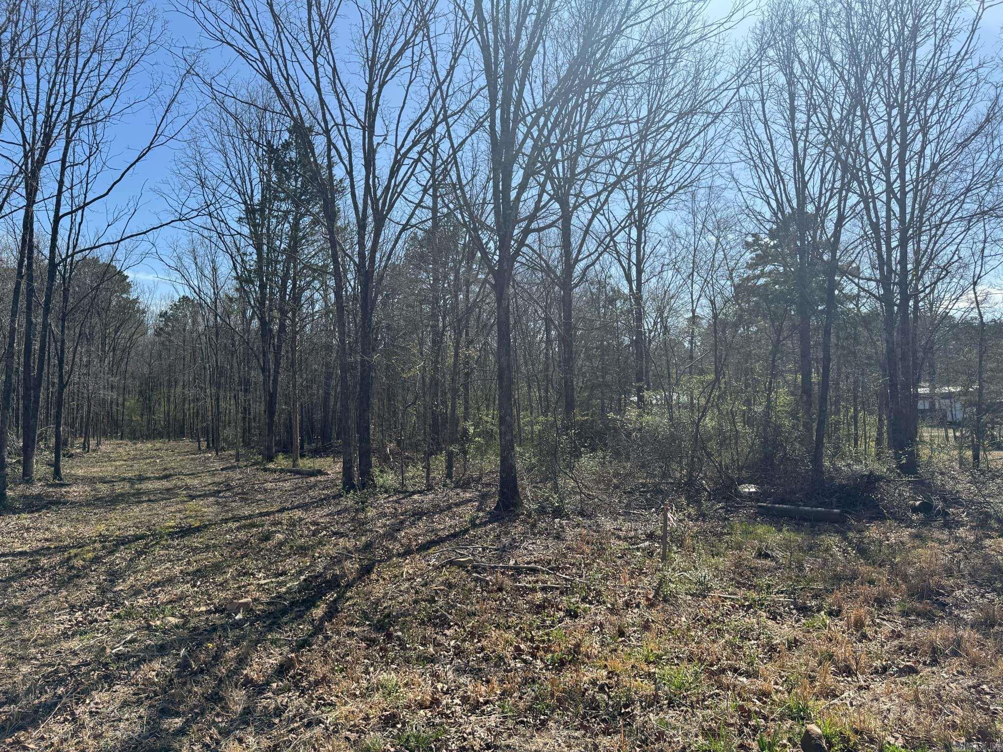 209  Finks  Mena, AR