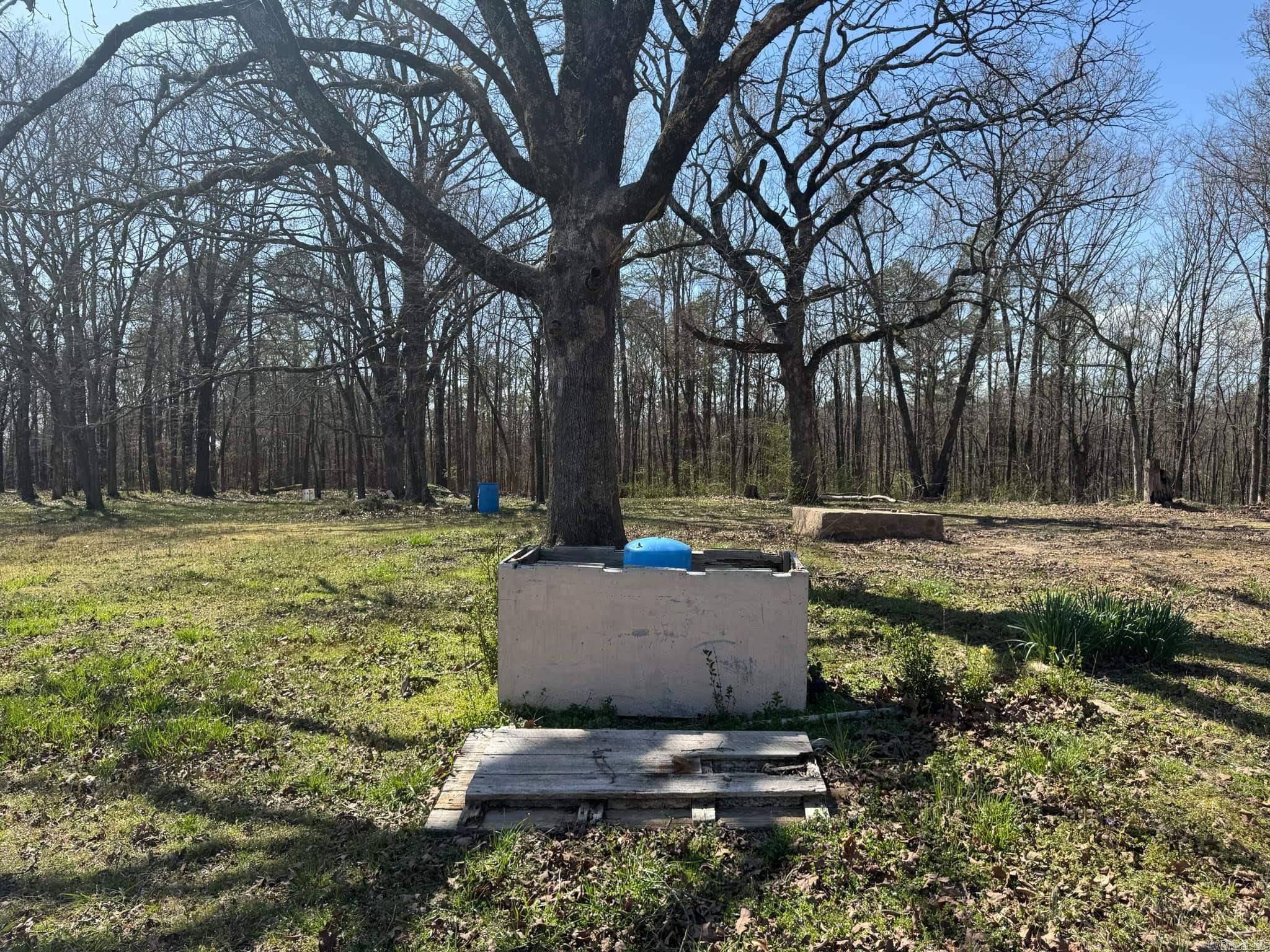 209  Finks  Mena, AR
