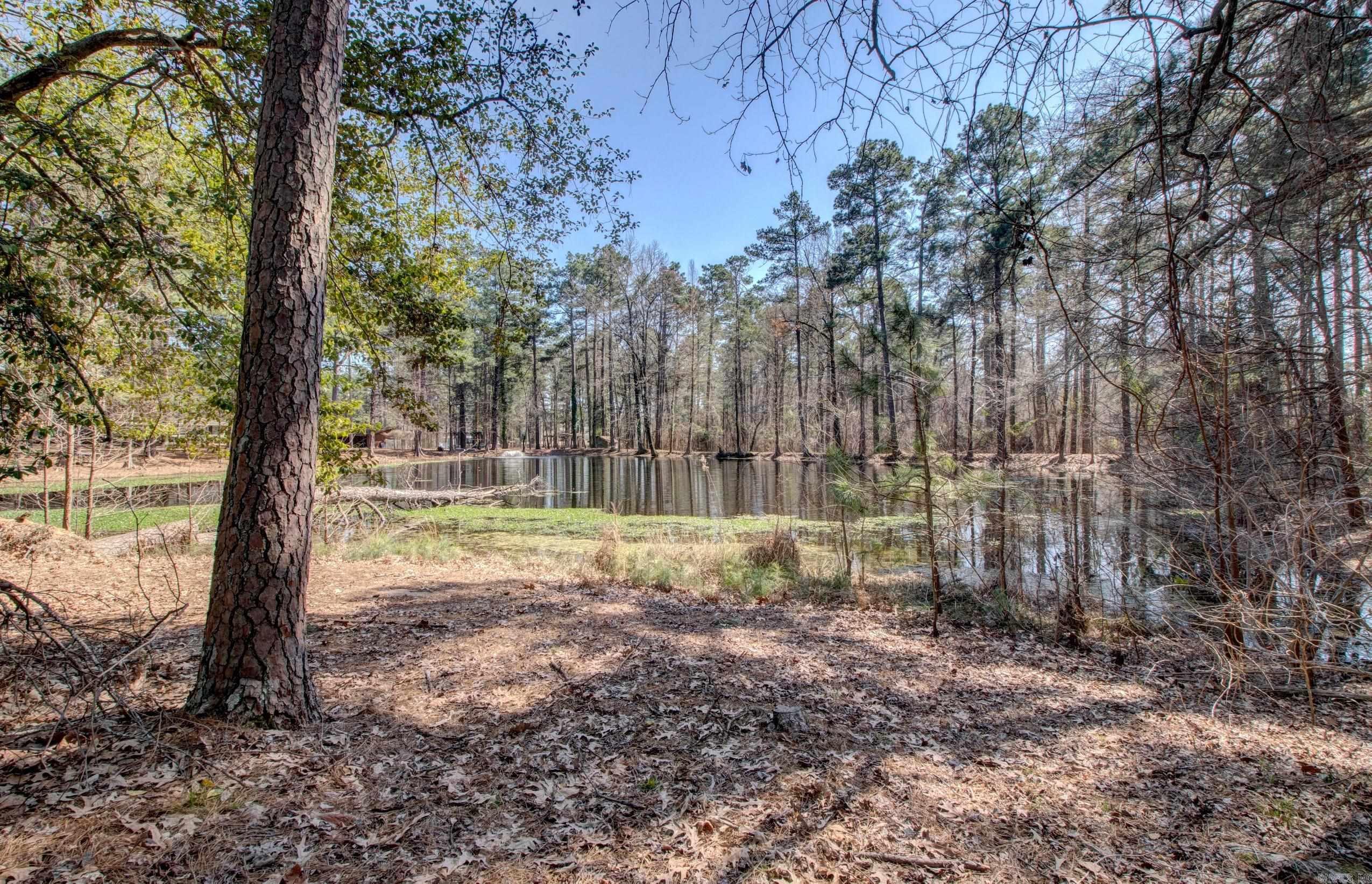 106  Pine Forest  Fordyce, AR